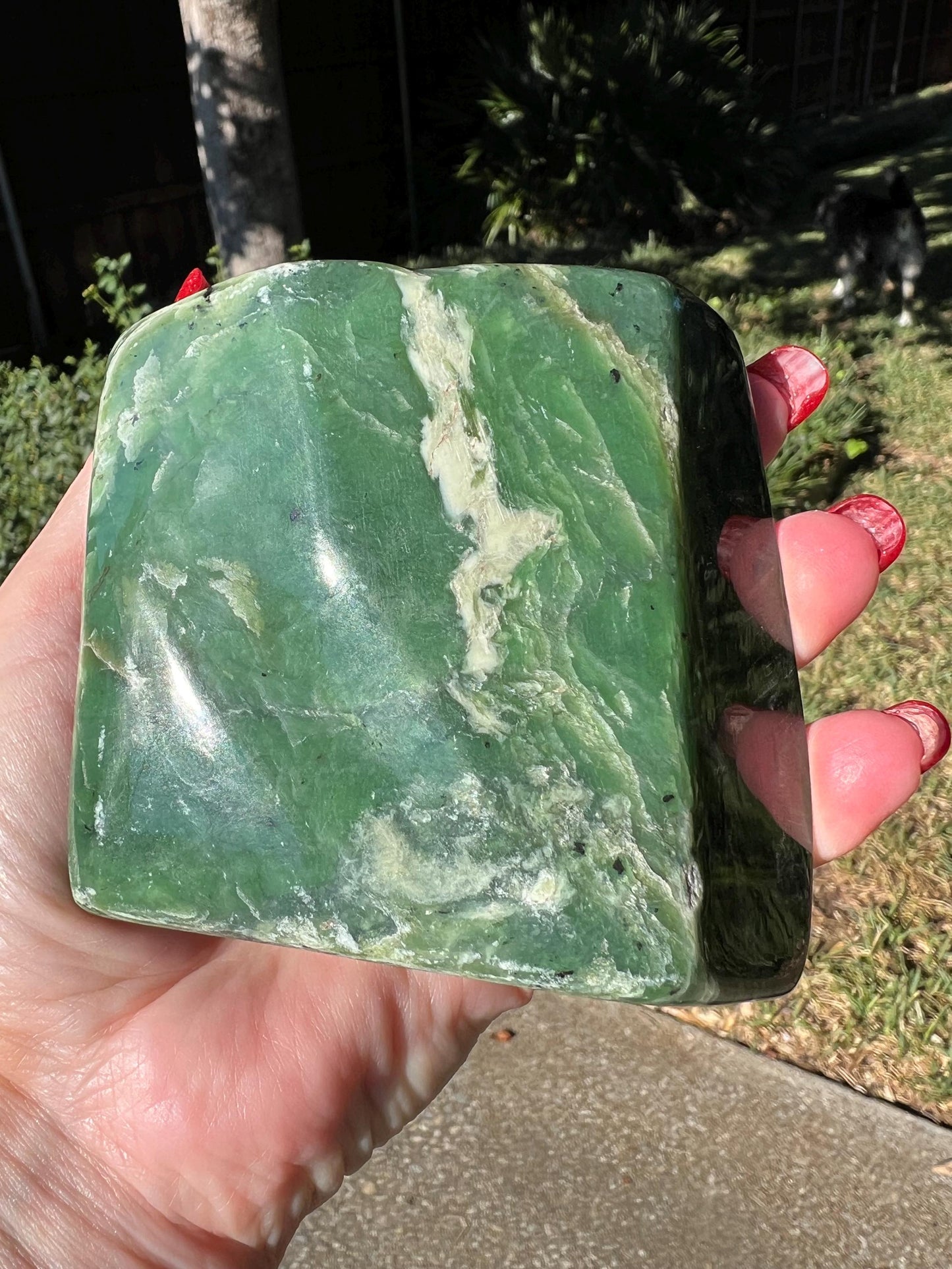 Absolutely gorgeous premium large Nephrite Freeform Statement Piece, 1.4.4 pounds, 3.25”