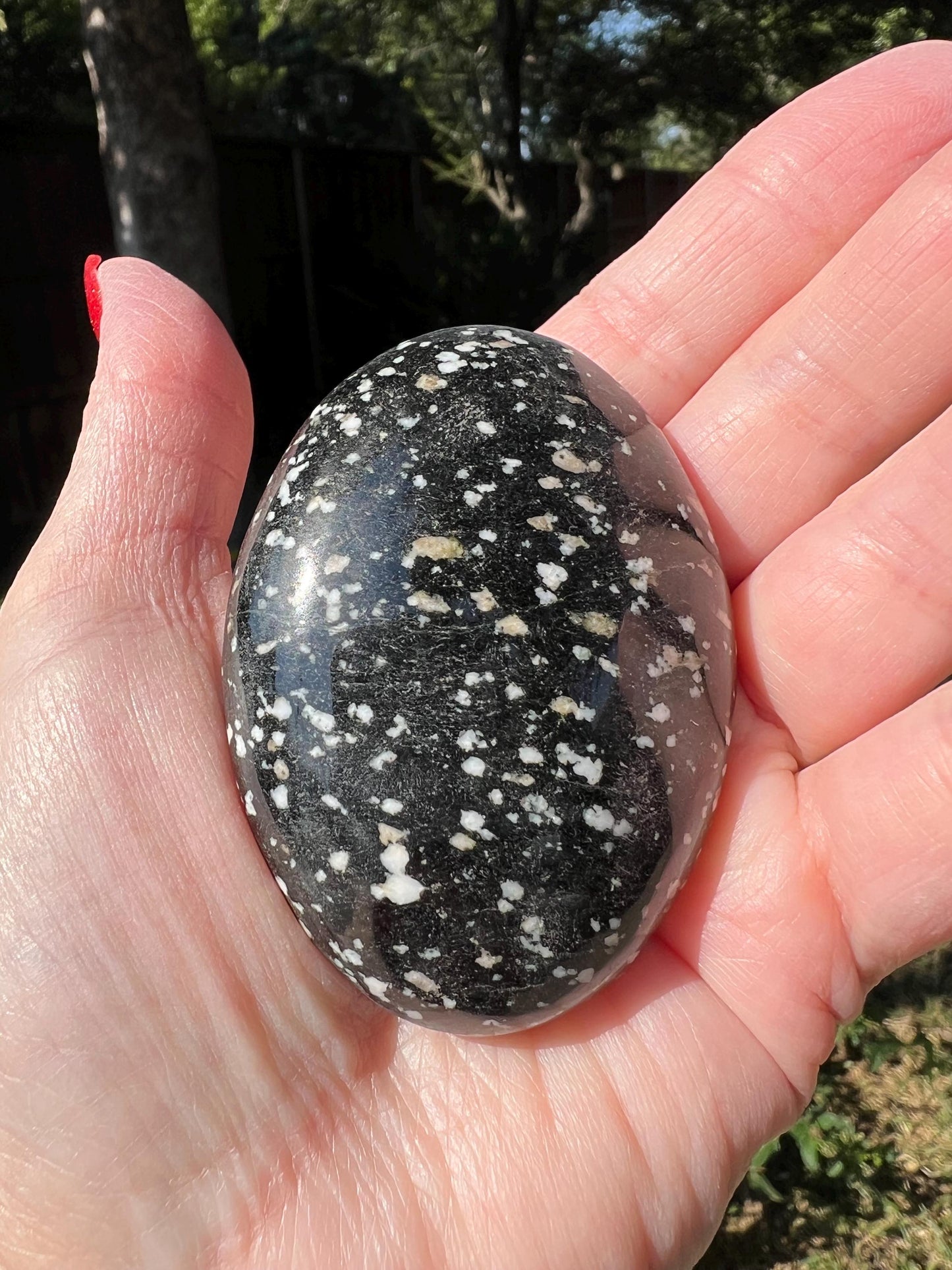 Large Snowflake Obsidian Palm Stone, 2.5”, gift, altar, high frequency crystals