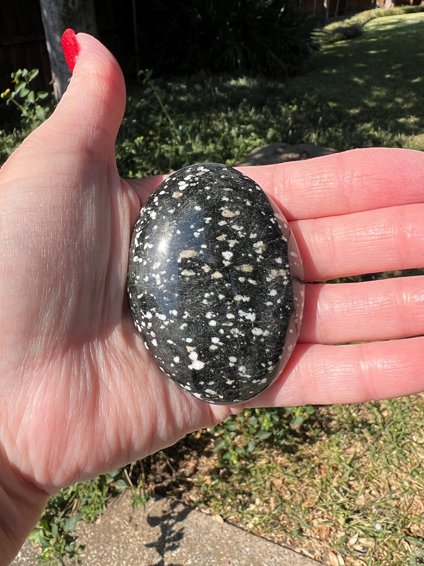 Large Snowflake Obsidian Palm Stone, 2.5”, gift, altar, high frequency crystals