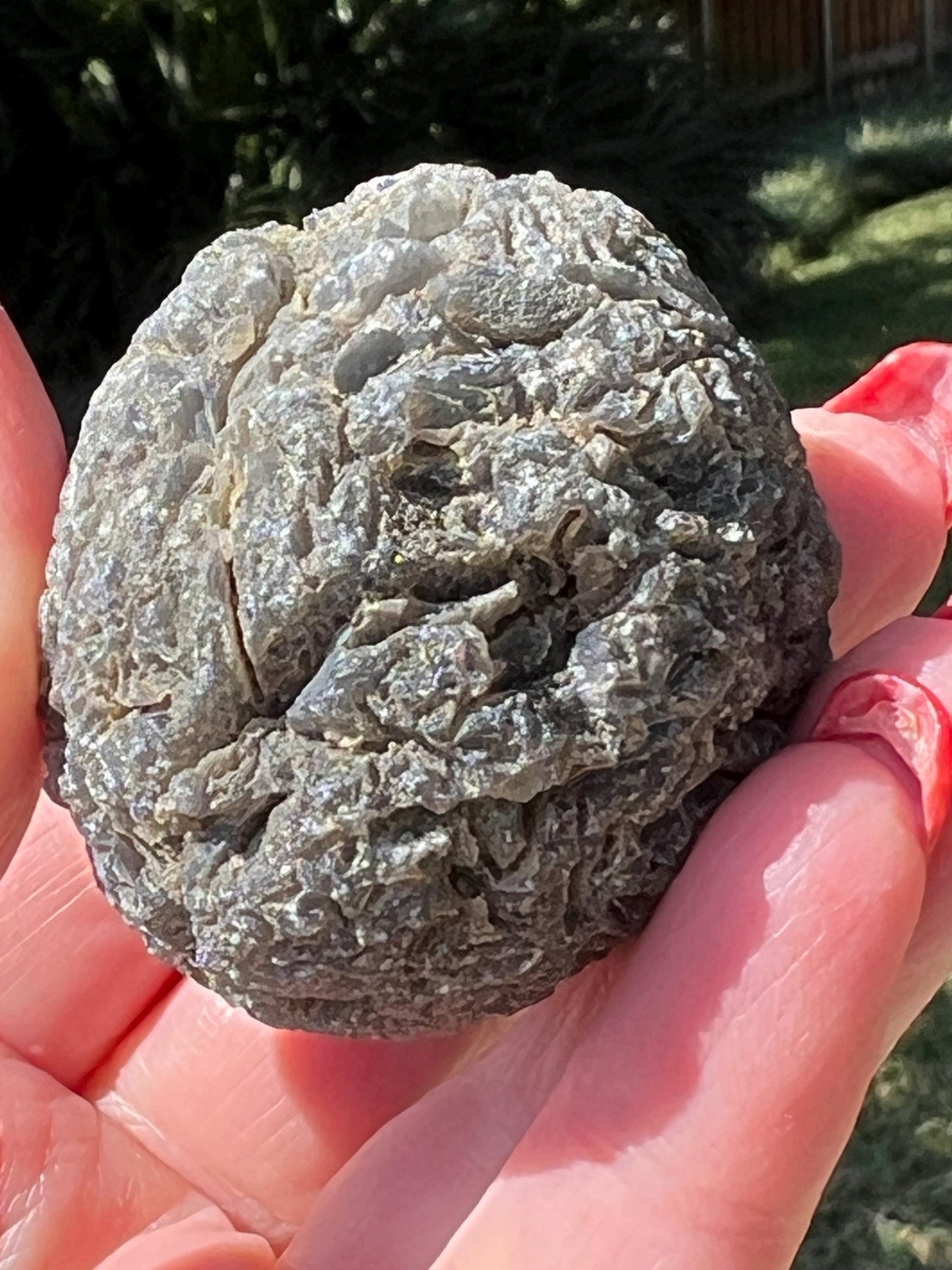 Large Agni Manitite Tektite Palm Stone, Tumbled, 1.75”, new in shop and hand-collected, high vibration crystals