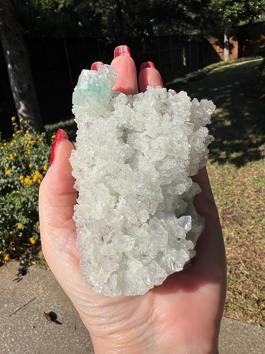 Heavy Green Apophyllite Fairy Bed double-sided with sparkle, celadonite, 4”, high vibration crystals, gifts, altar