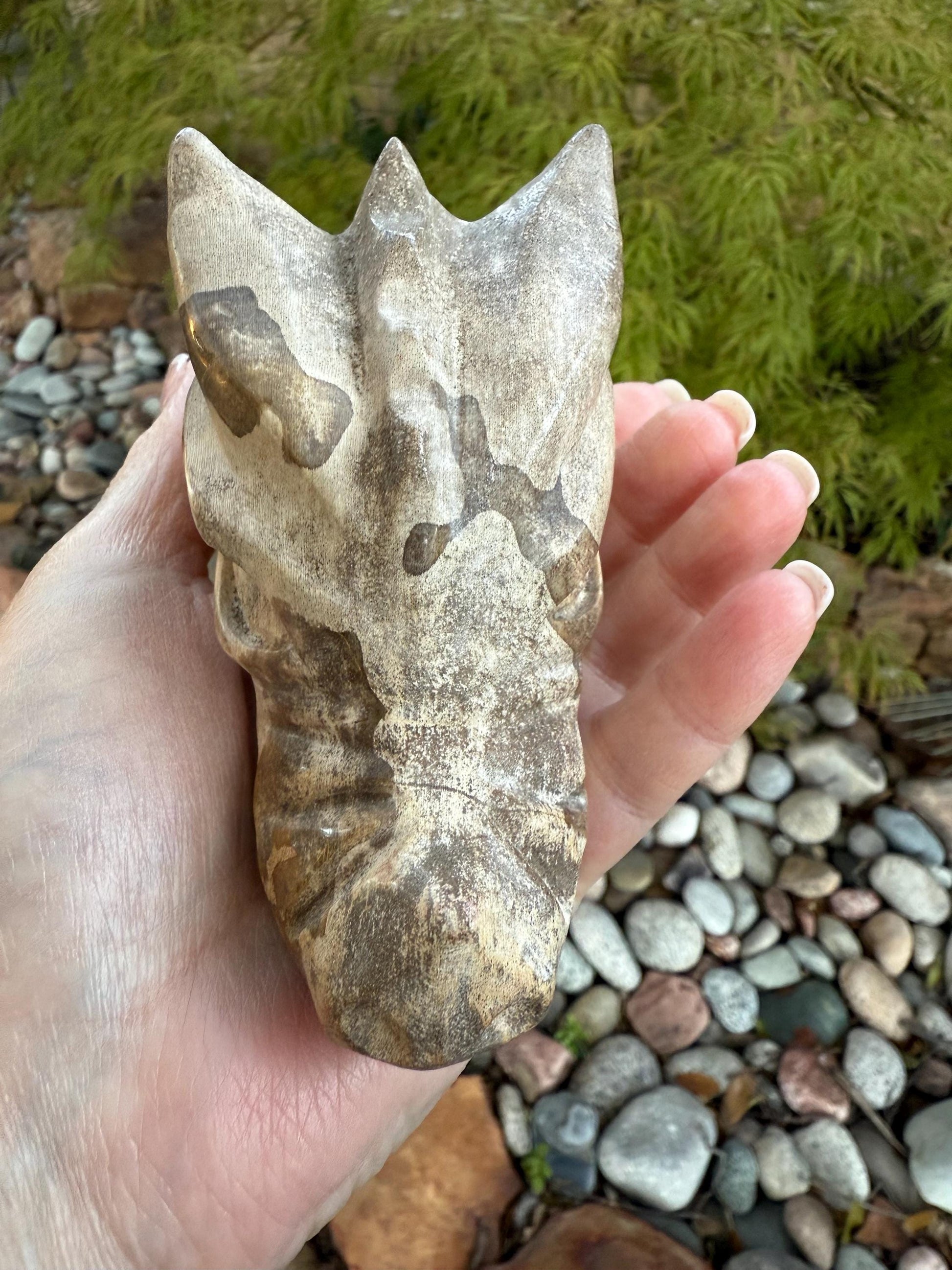 Large Petrified Wood Dragon, new, 4.25”, high vibration crystal healing, grounding crystals, reiki