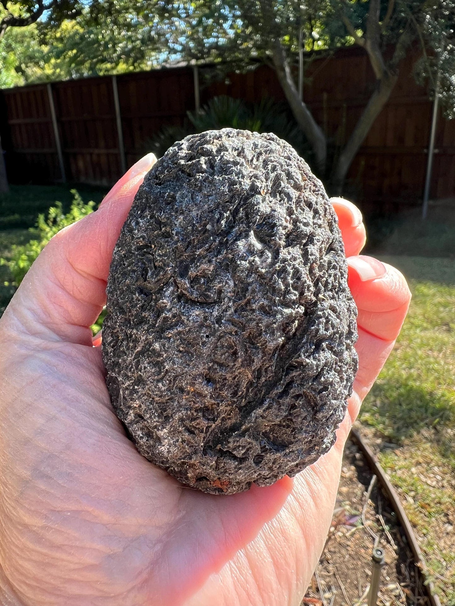 Jumbo Agni Manitite Tektite Palm Stone, Tumbled, 3.25”, new in shop and hand-collected, high vibration crystals