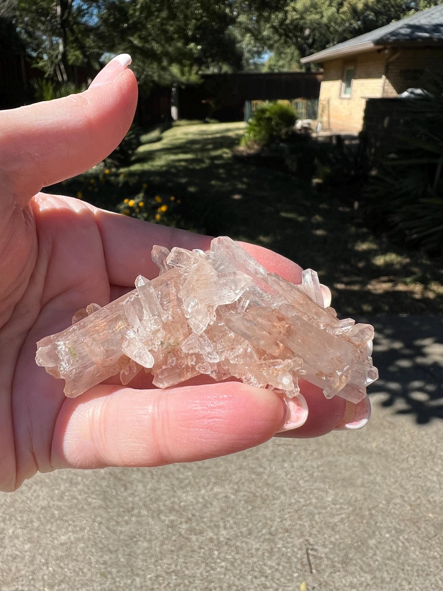 Strawberry Pink Mint Lemurian Fairy bed, new, high quality, striations, crystal healing, 2.5”, hematite, chlorite premium