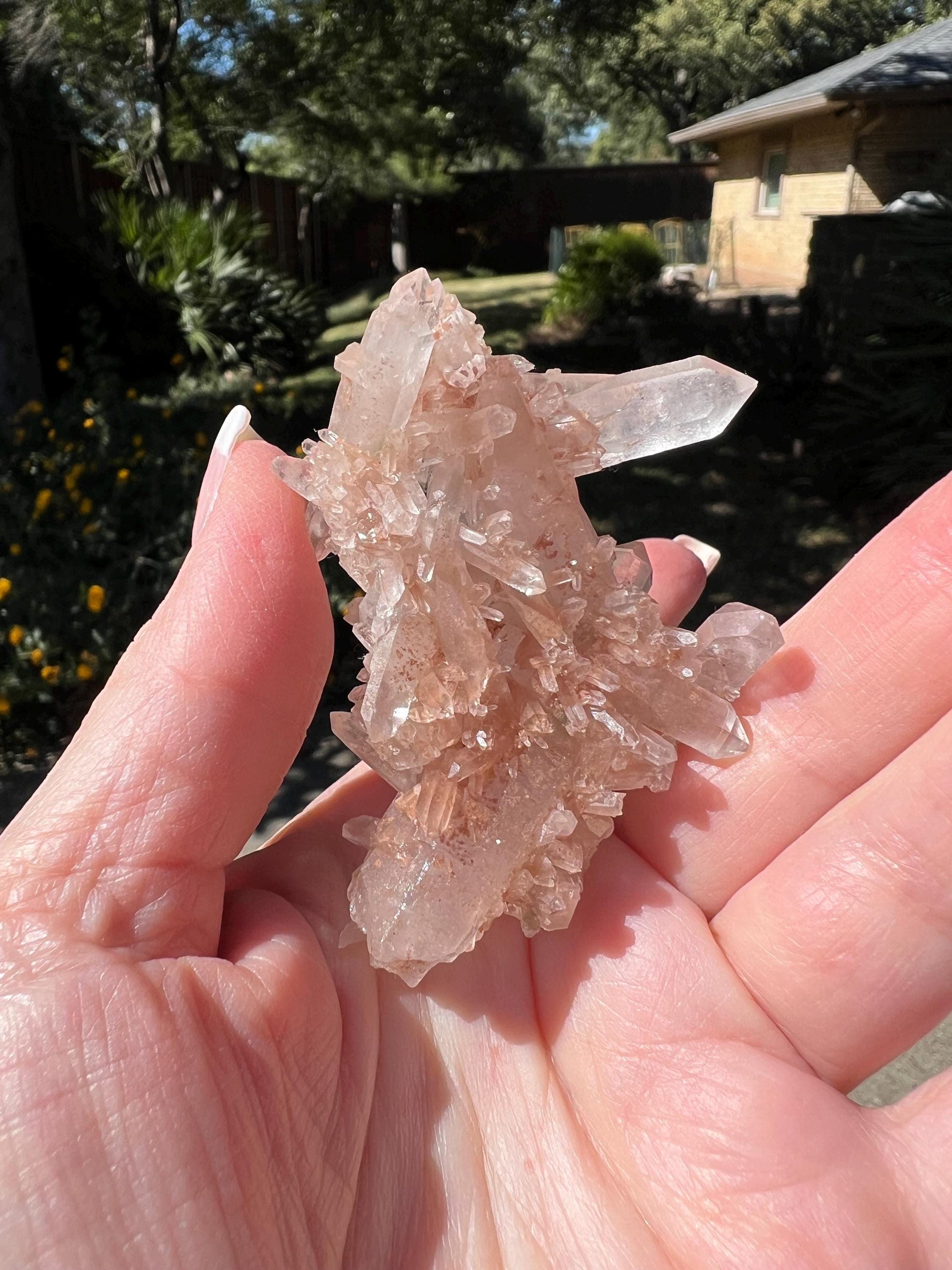 Strawberry Pink Mint Lemurian Fairy bed, new, high quality, striations, crystal healing, 2.5”, hematite, chlorite premium