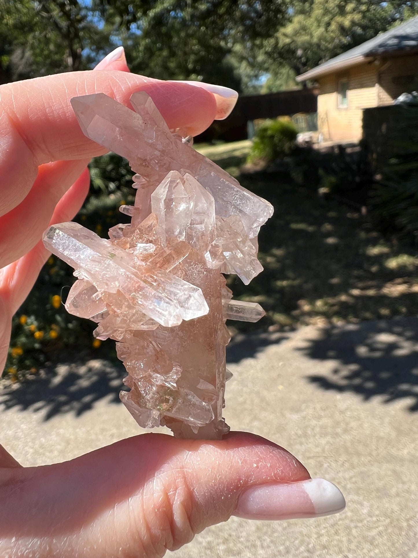 Strawberry Pink Mint Lemurian Fairy bed, new, high quality, striations, crystal healing, 2.5”, hematite, chlorite premium