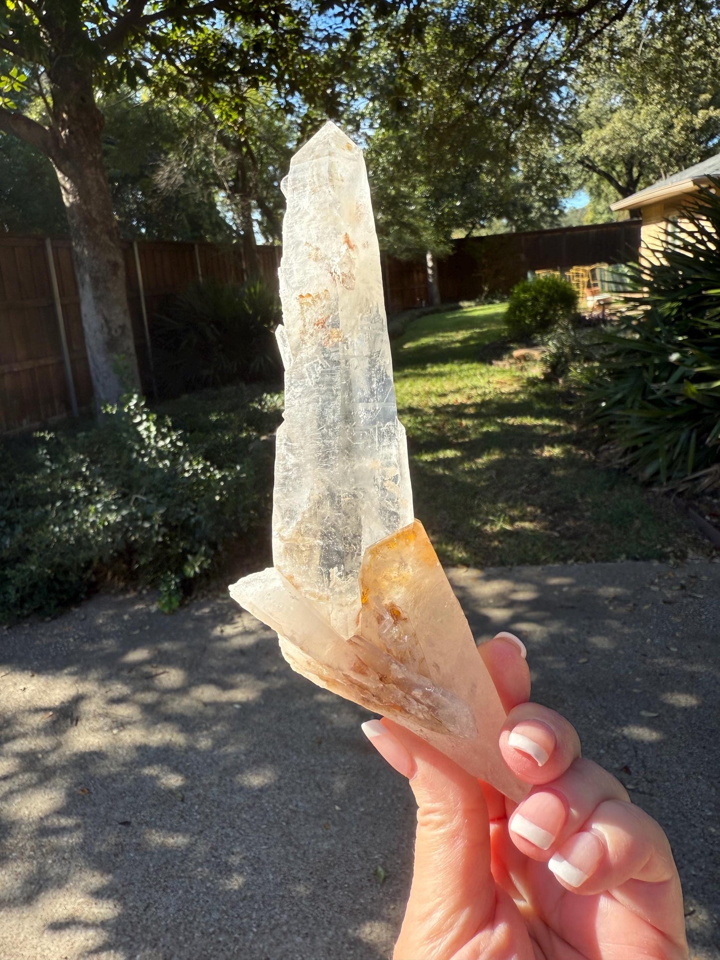 Laser Singing Lemurian Wand 7.75”, crossed bottom, New, gift, altar, high vibration crystals