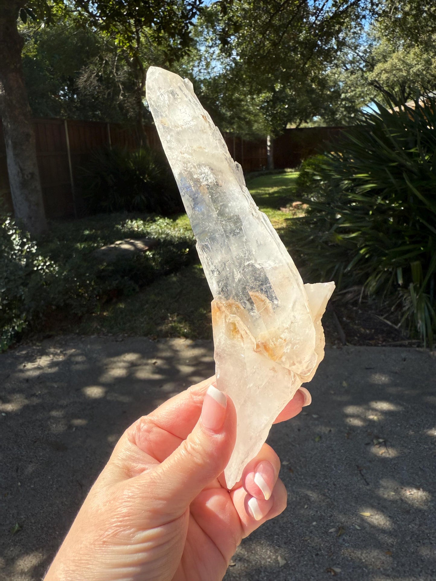 Laser Singing Lemurian Wand 7.75”, crossed bottom, New, gift, altar, high vibration crystals