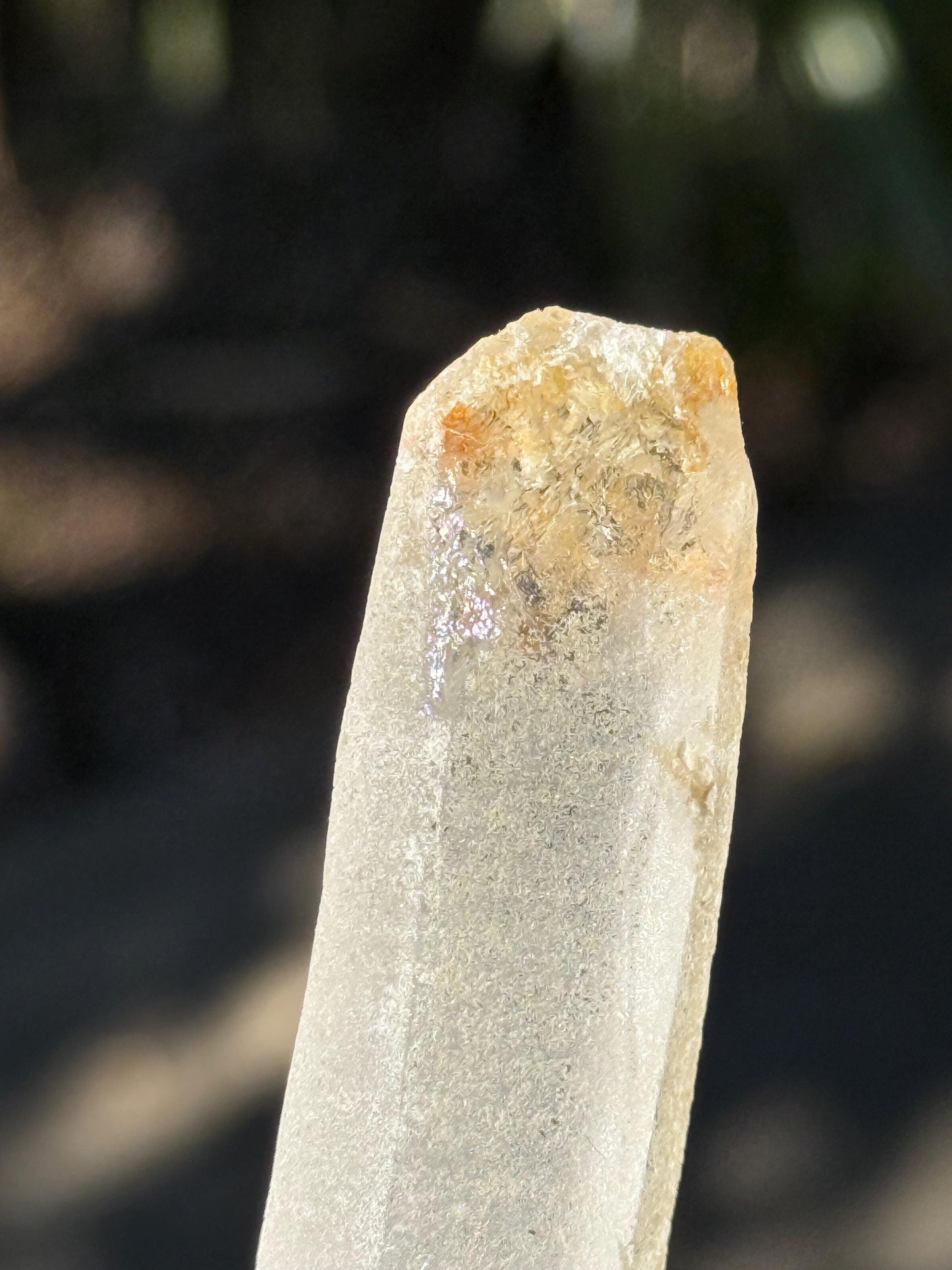 Divine Sugar DT Laser Singing Lemurian Wand 4.75”, New, gift, altar, high vibration crystals