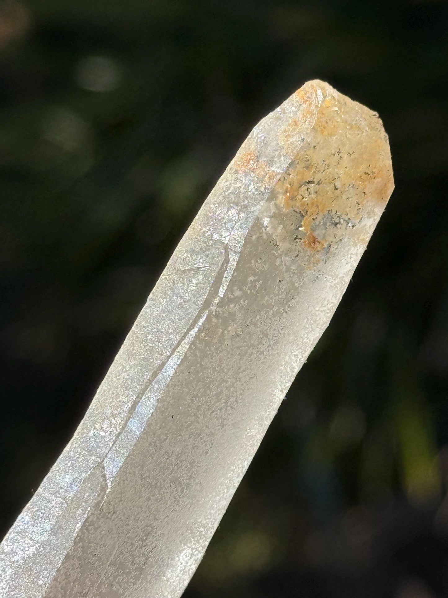 Divine Sugar DT Laser Singing Lemurian Wand 4.75”, New, gift, altar, high vibration crystals