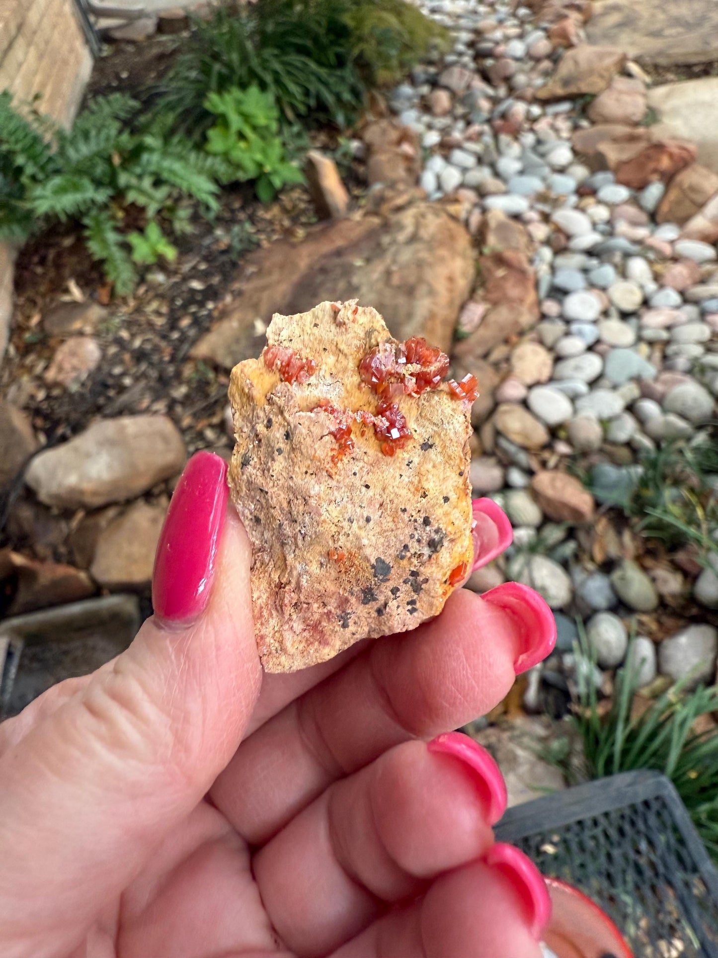 Chunky Vanadinite on Barite, sparkly with beautiful colors, high vibration crystals, gifts, 2”