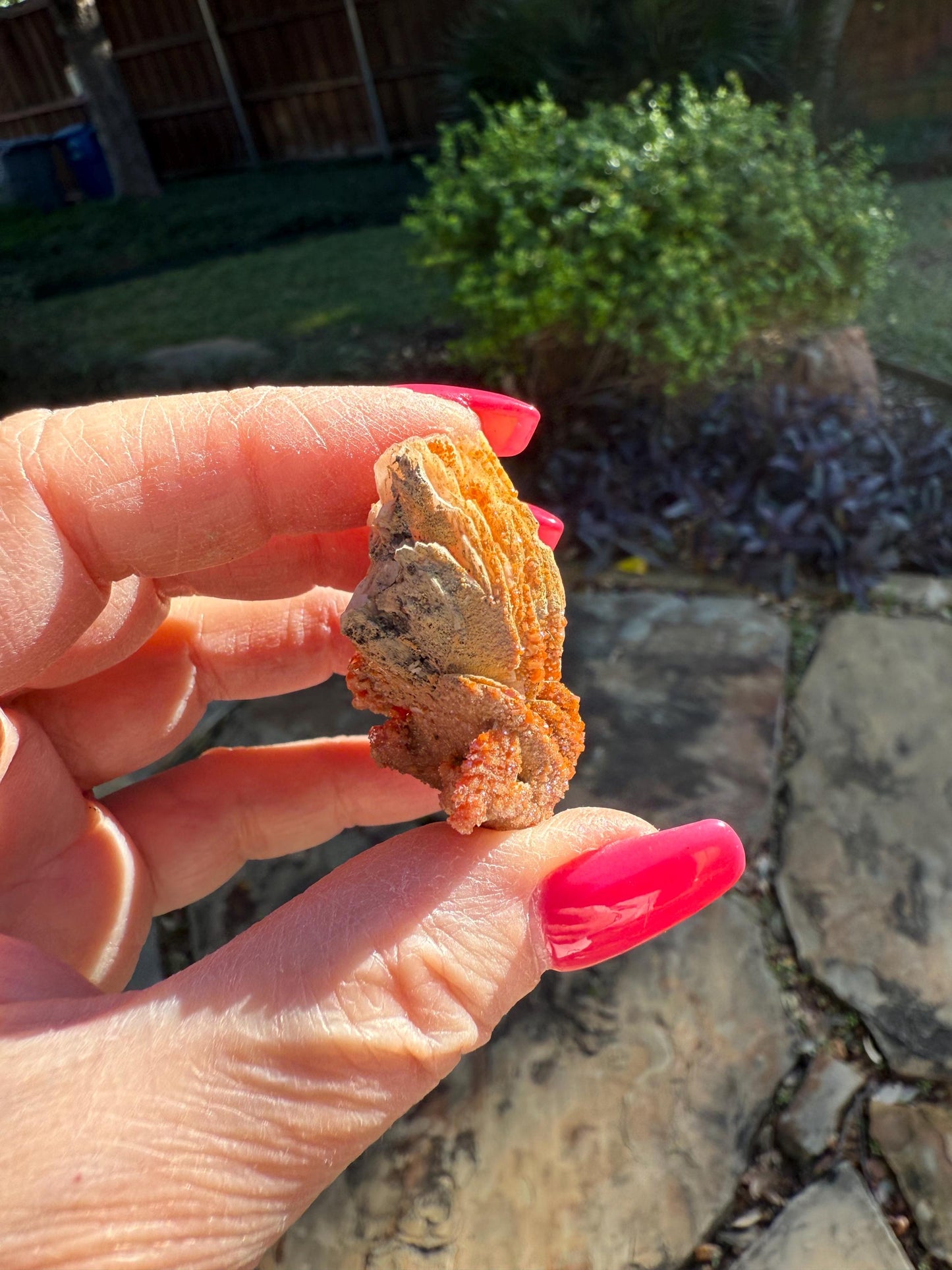 Chunky Rosette of Vanadinite on Barite, sparkly with beautiful petals, high vibration crystals, gifts