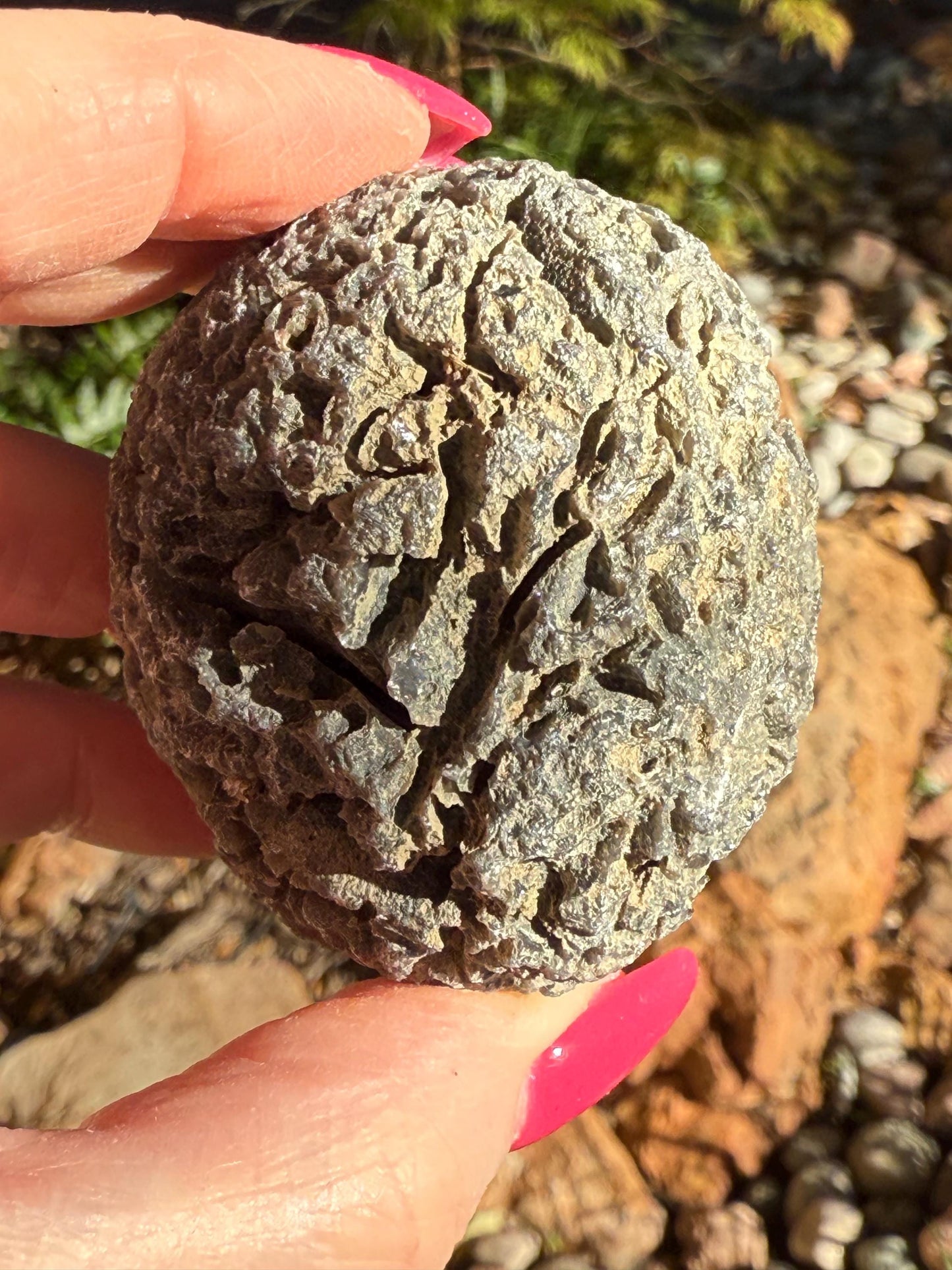 Jumbo Agni Manitite Tektite Palm Stone, Tumbled, 2.5”, new in shop and hand-collected, high vibration crystals