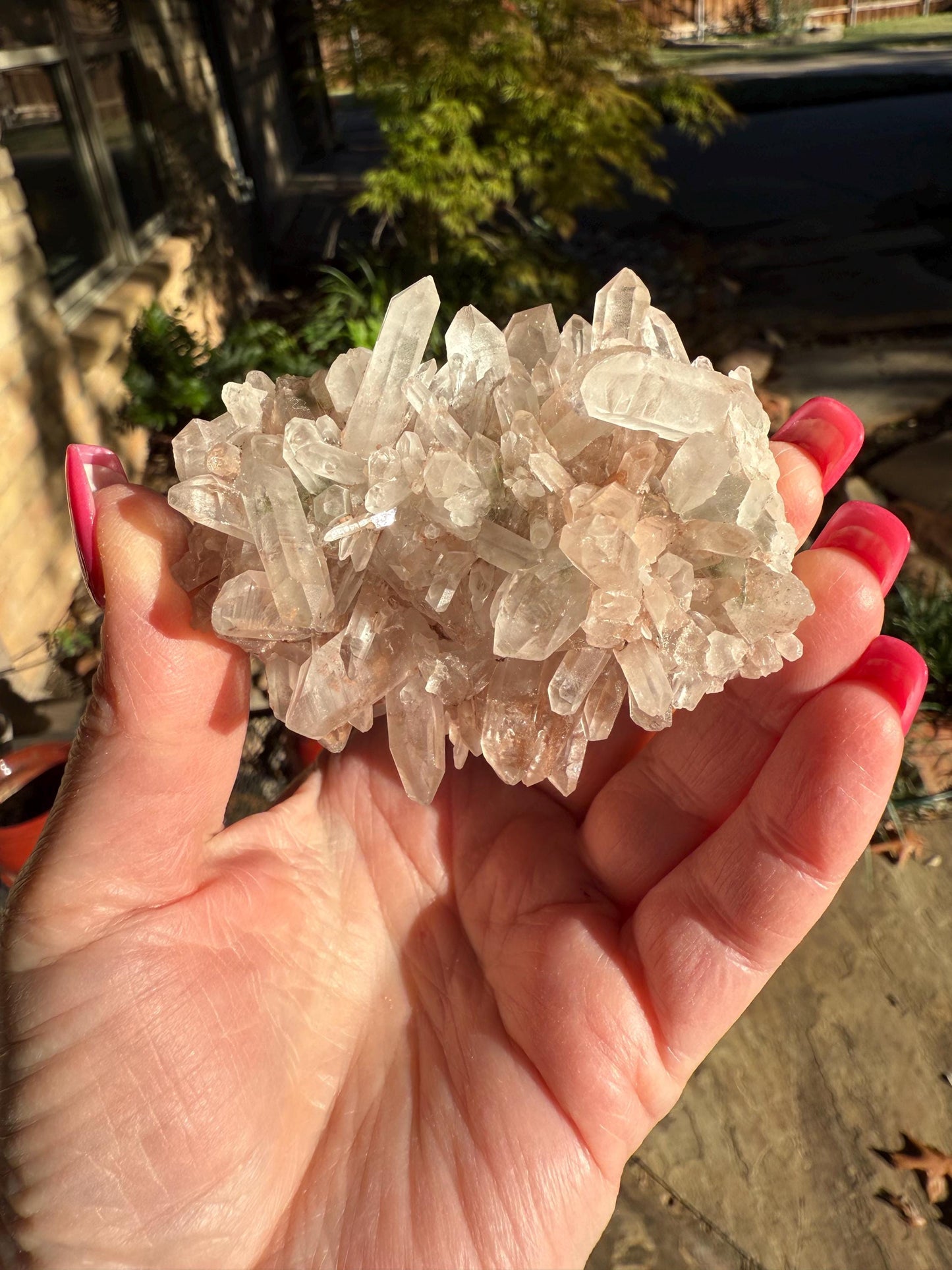 Strawberry Pink Mint Lemurian Fairy bed, new, high quality, striations, crystal healing, 3”, hematite, chlorite premium