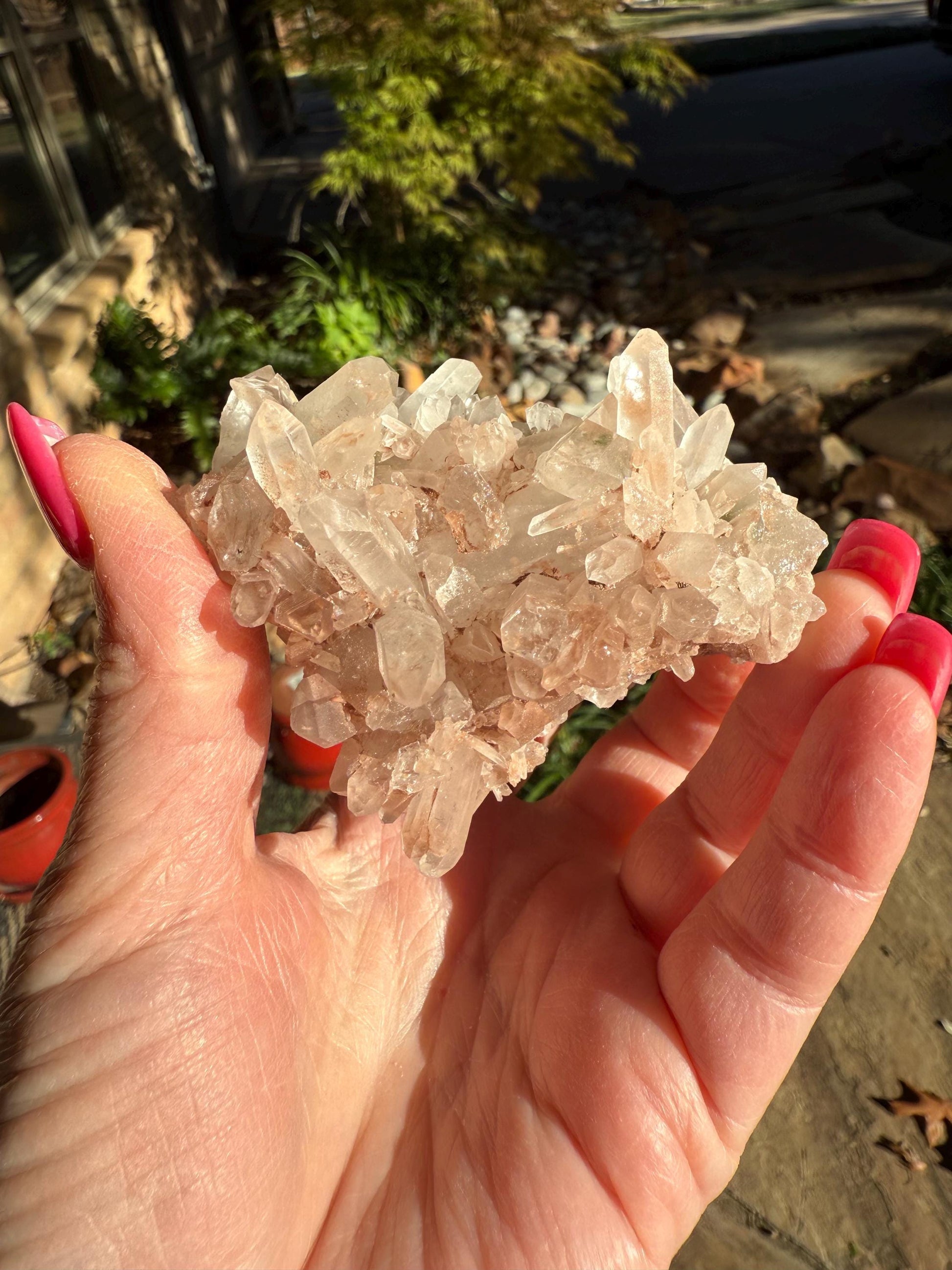 Strawberry Pink Mint Lemurian Fairy bed, new, high quality, striations, crystal healing, 3”, hematite, chlorite premium