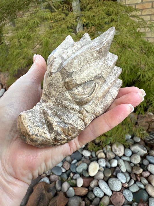 Large Petrified Wood Dragon, new, 4.25”, high vibration crystal healing, grounding crystals, reiki