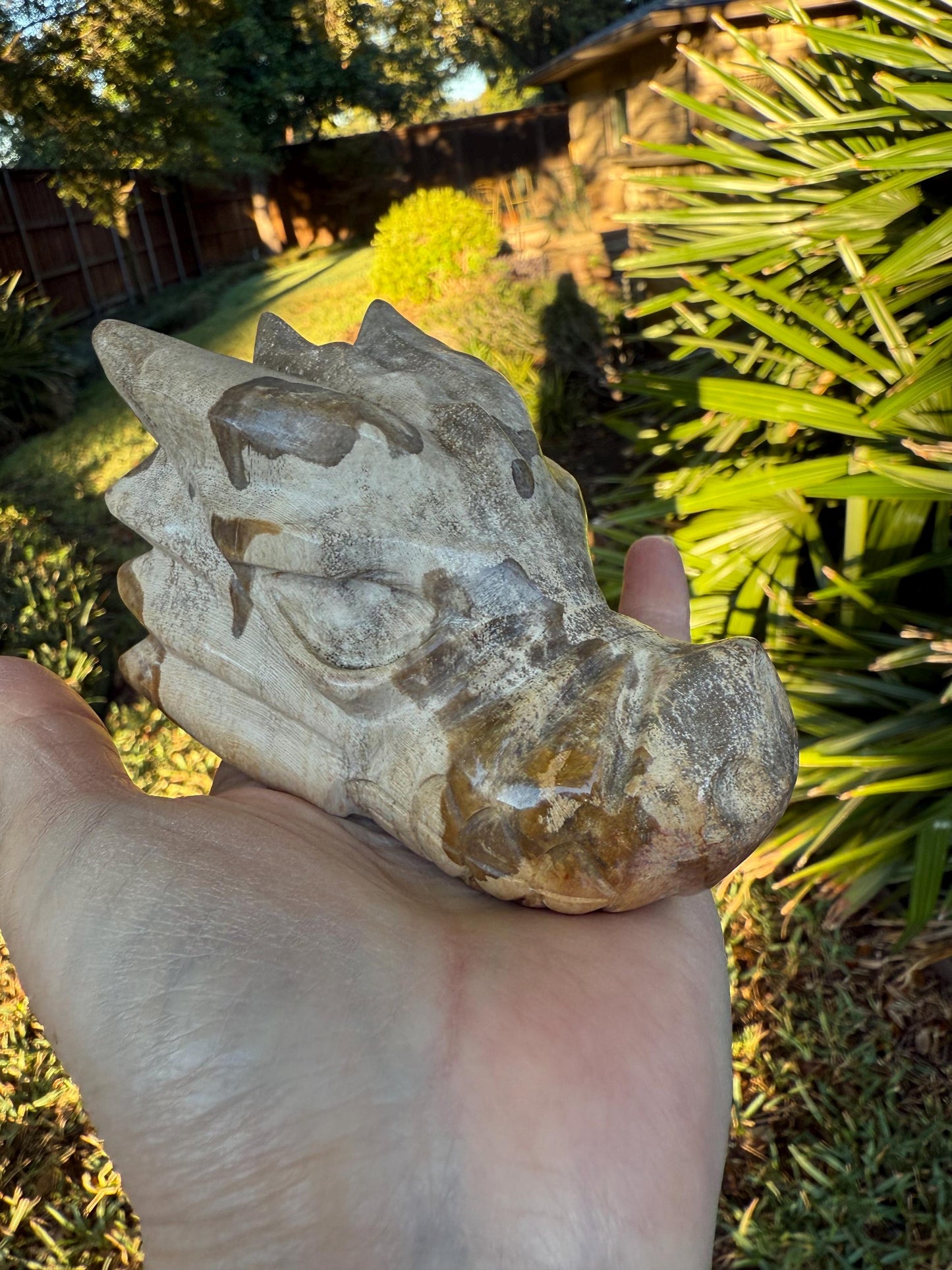 Large Petrified Wood Dragon, new, 4.25”, high vibration crystal healing, grounding crystals, reiki