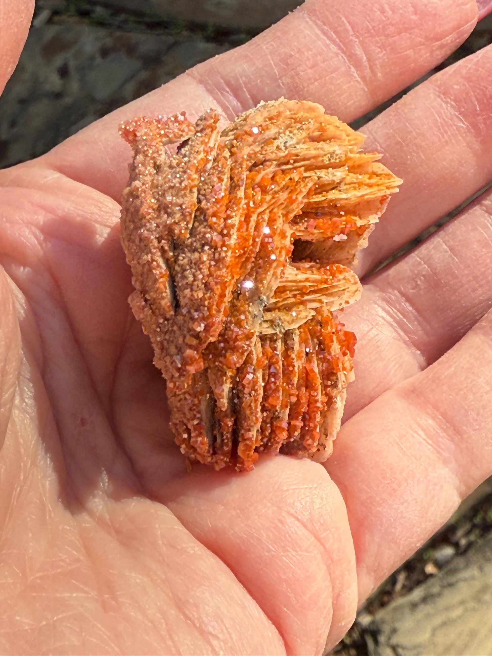 Chunky Rosette of Vanadinite on Barite, sparkly with beautiful petals, high vibration crystals, gifts