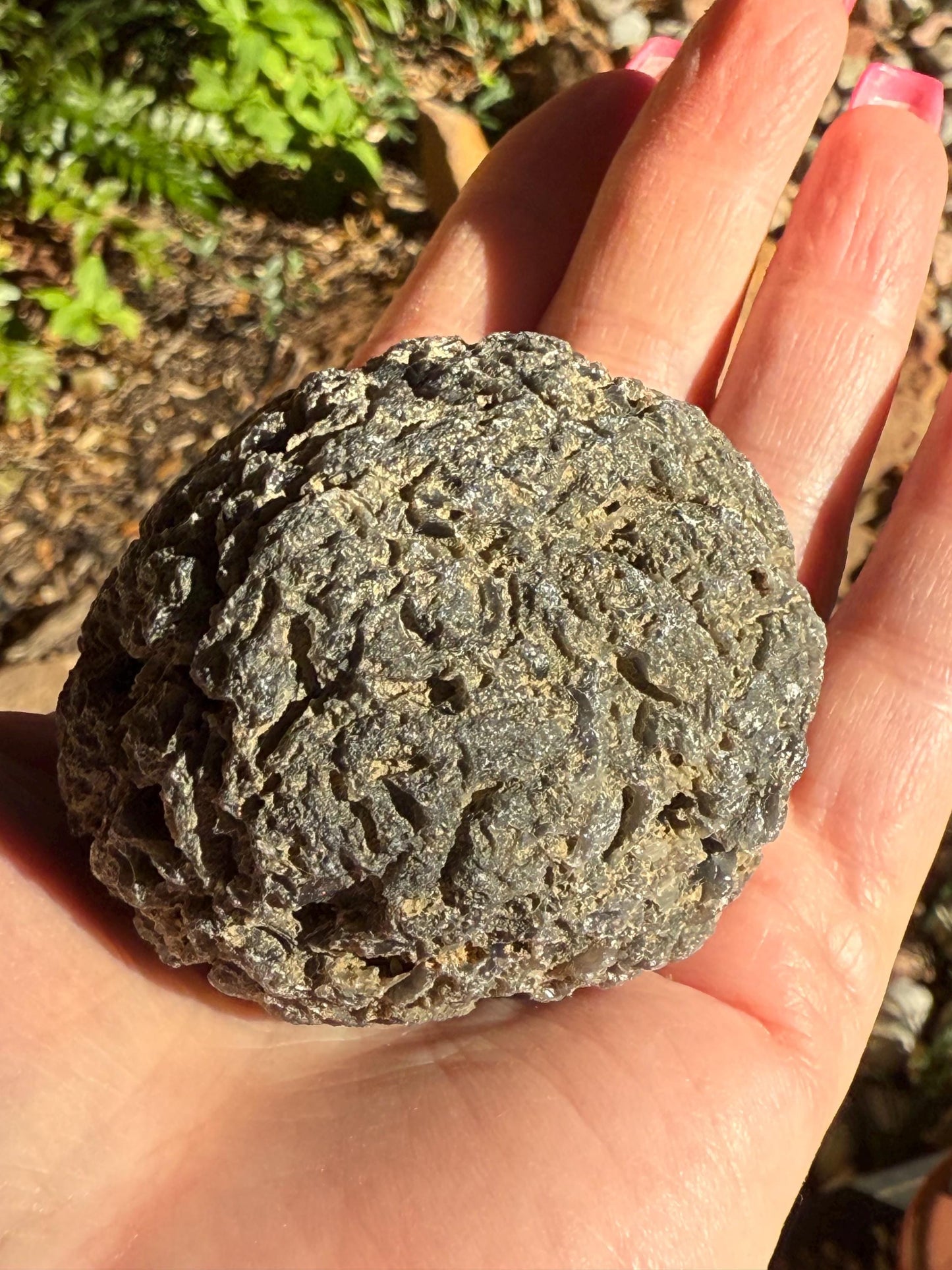 Jumbo Agni Manitite Tektite Palm Stone, Tumbled, 2.5”, new in shop and hand-collected, high vibration crystals