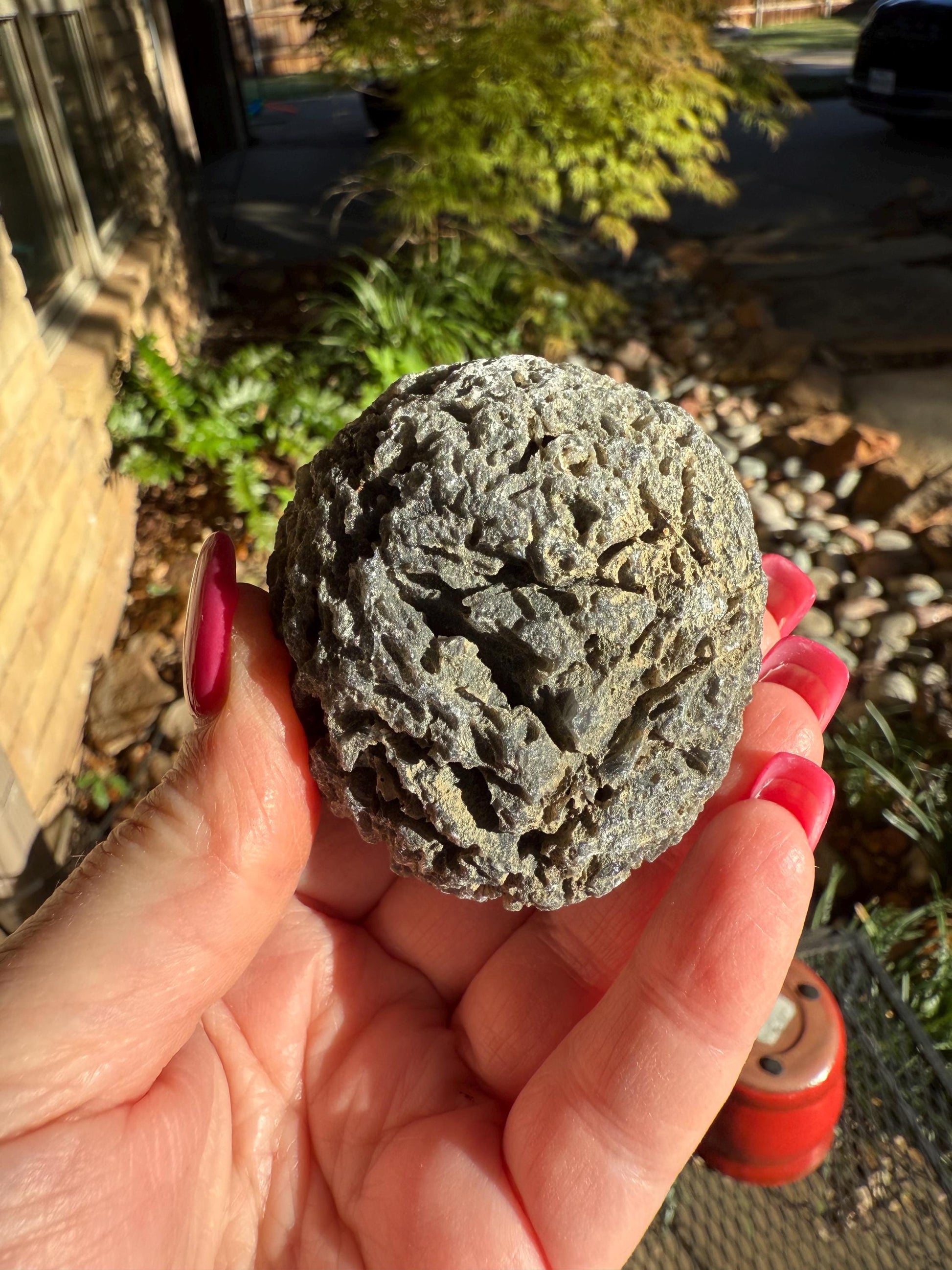 Jumbo Agni Manitite Tektite Palm Stone, Tumbled, 2.5”, new in shop and hand-collected, high vibration crystals