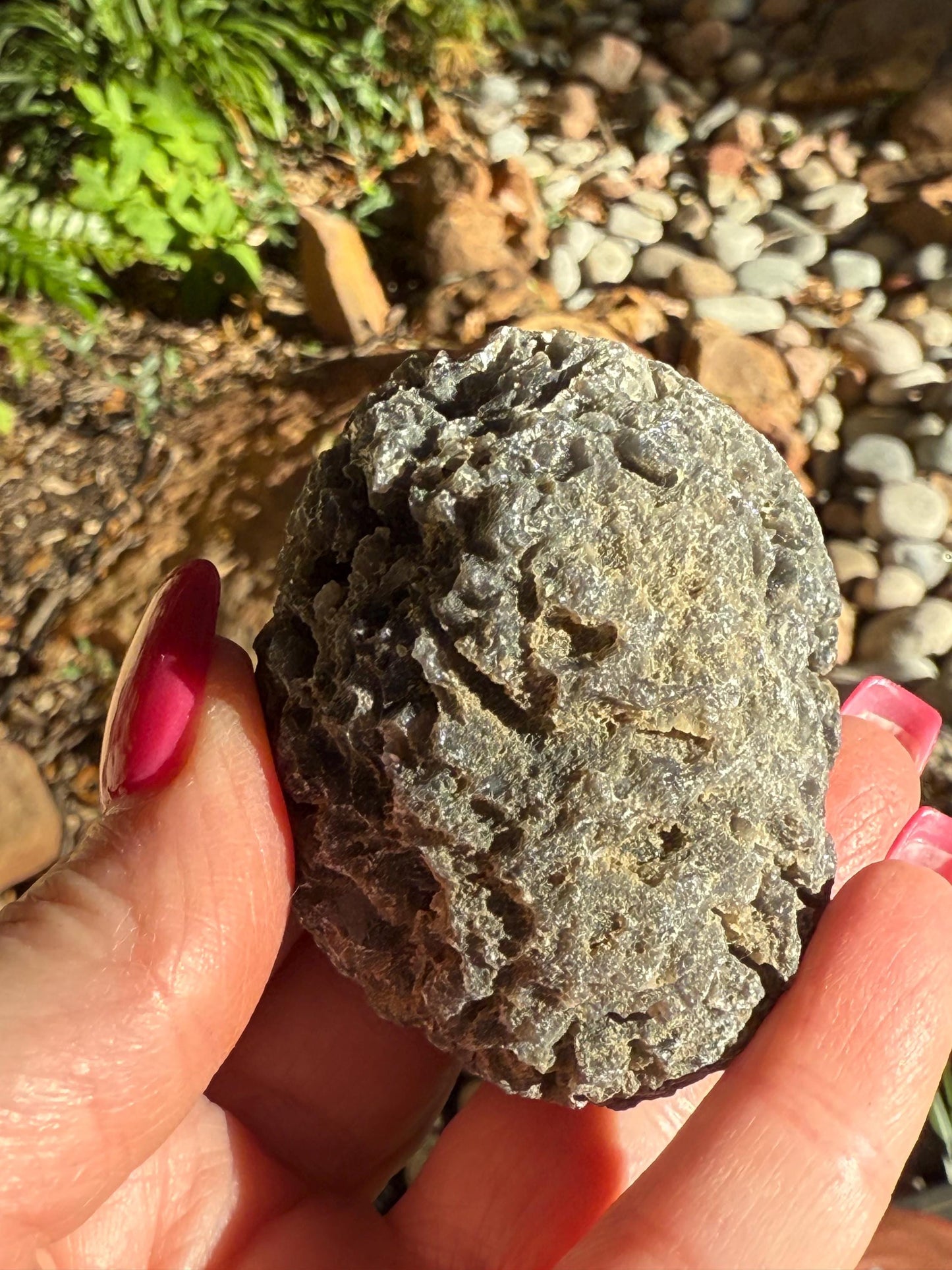 Jumbo Agni Manitite Tektite Palm Stone, Tumbled, 2.5”, new in shop and hand-collected, high vibration crystals