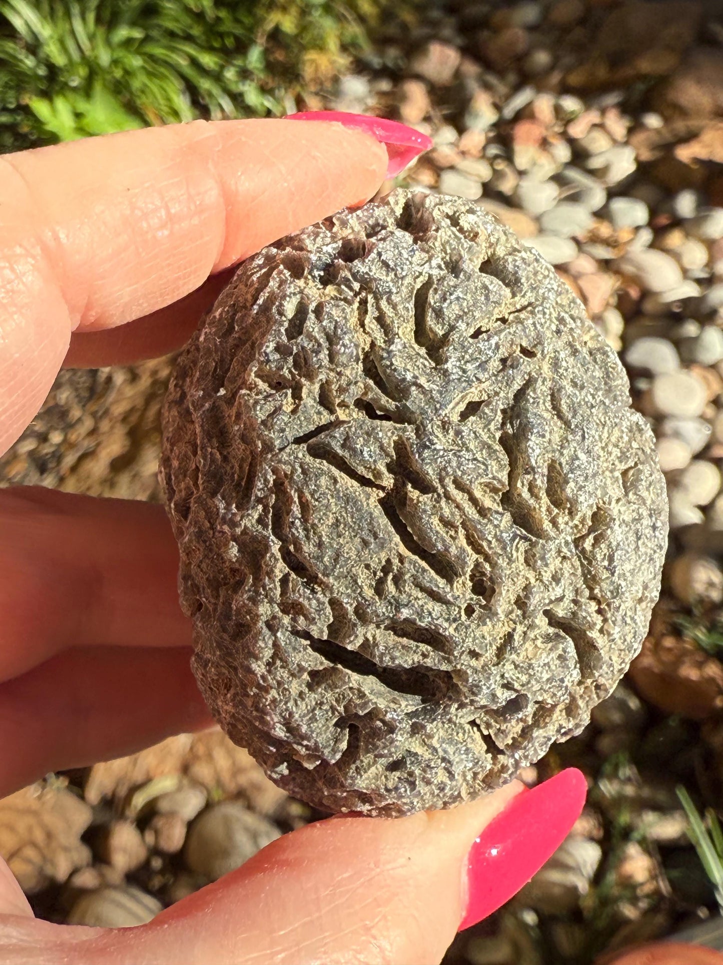 Jumbo Agni Manitite Tektite Palm Stone, Tumbled, 2.5”, new in shop and hand-collected, high vibration crystals