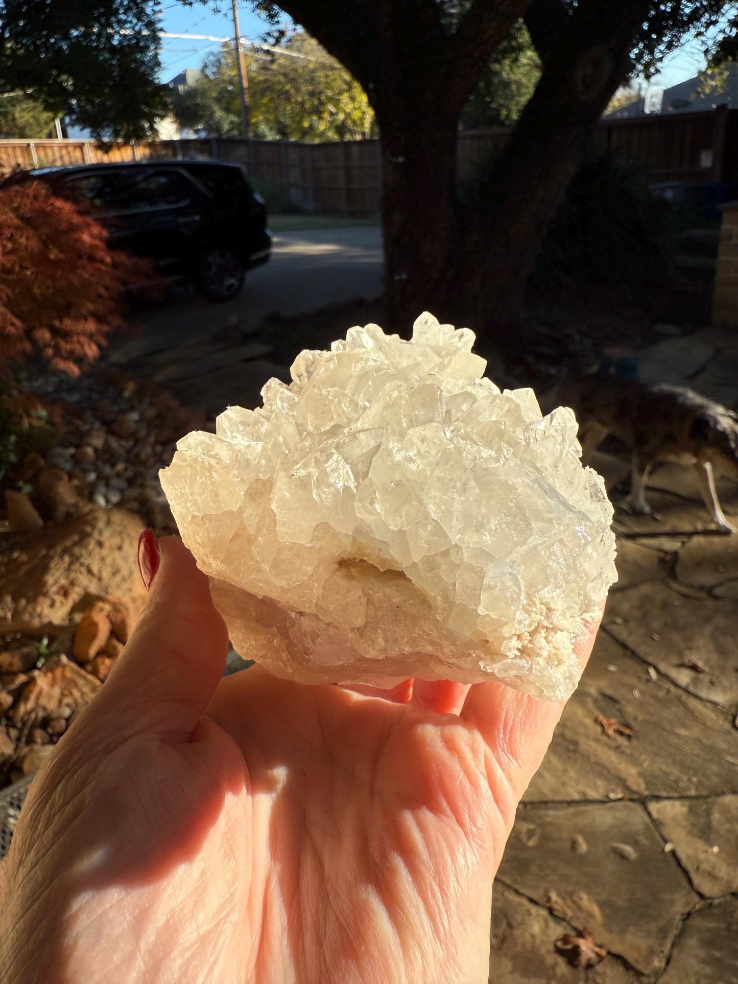 Large Dumortierite in Quartz cluster bed, gorgeous and so rare, Brazil, high vibration crystal healing