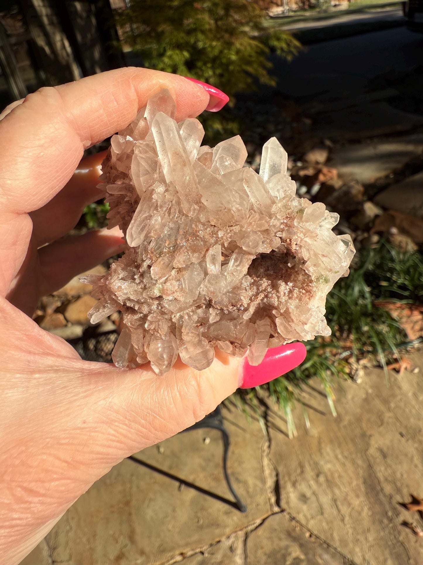 Strawberry Pink Mint Lemurian Fairy bed, new, high quality, striations, crystal healing, 3”, hematite, chlorite premium