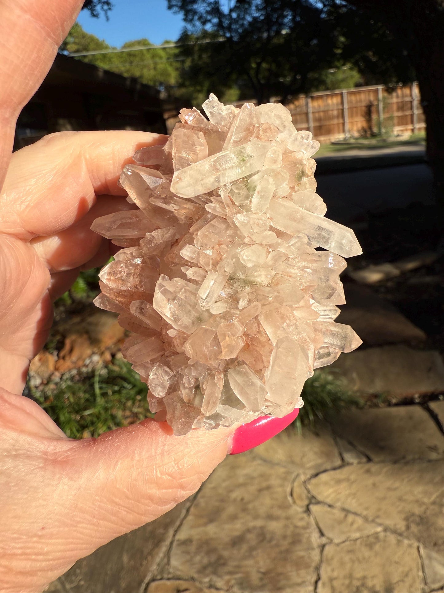 Strawberry Pink Mint Lemurian Fairy bed, new, high quality, striations, crystal healing, 3”, hematite, chlorite premium