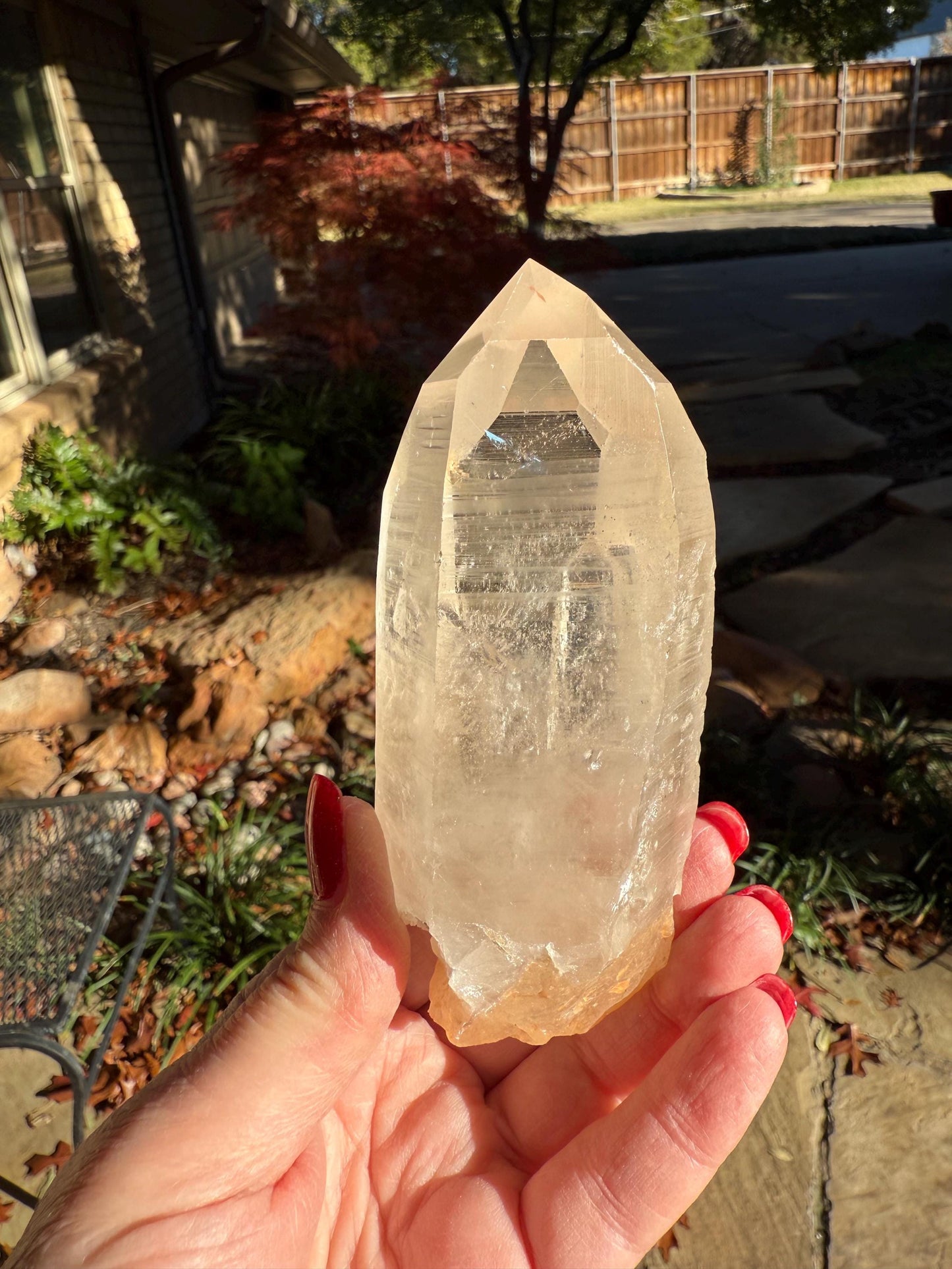 Rare Record Keeper Gold Lemurian, new, high quality, 4.25”, crystal healing, gift