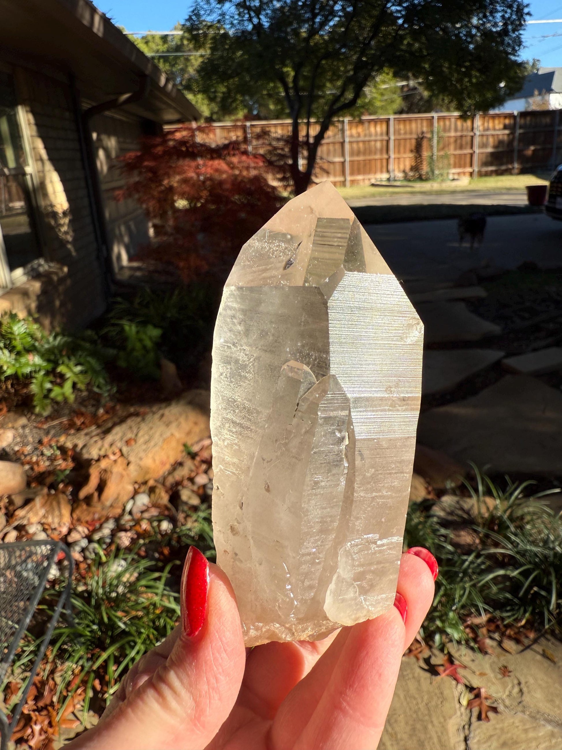 Rare Record Keeper Gold Lemurian, new, high quality, 4.25”, crystal healing, gift