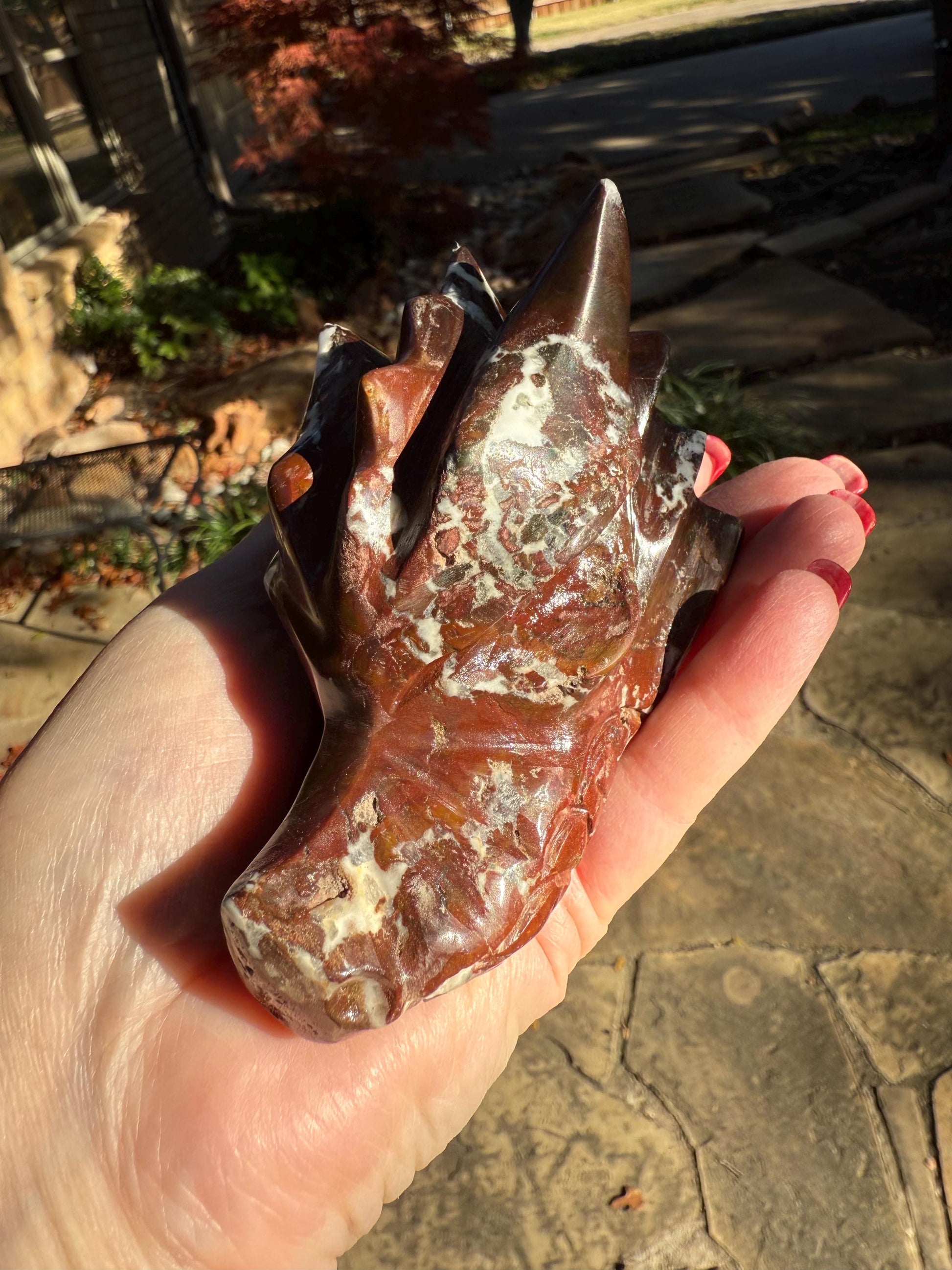 Red Jasper Dragon Skull, 3.75”, altar, gifts, high vibration crystals, crystal healing