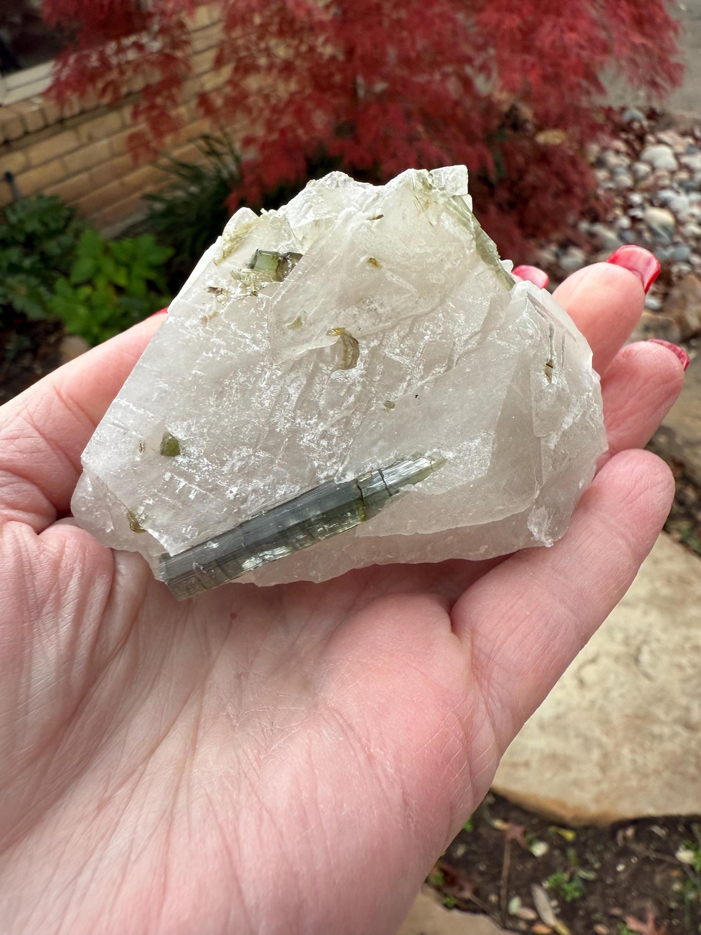 Large Green Tourmaline in Quartz with inner rod, stunning raw altar piece 7 oz, high vibration crystals, 3”