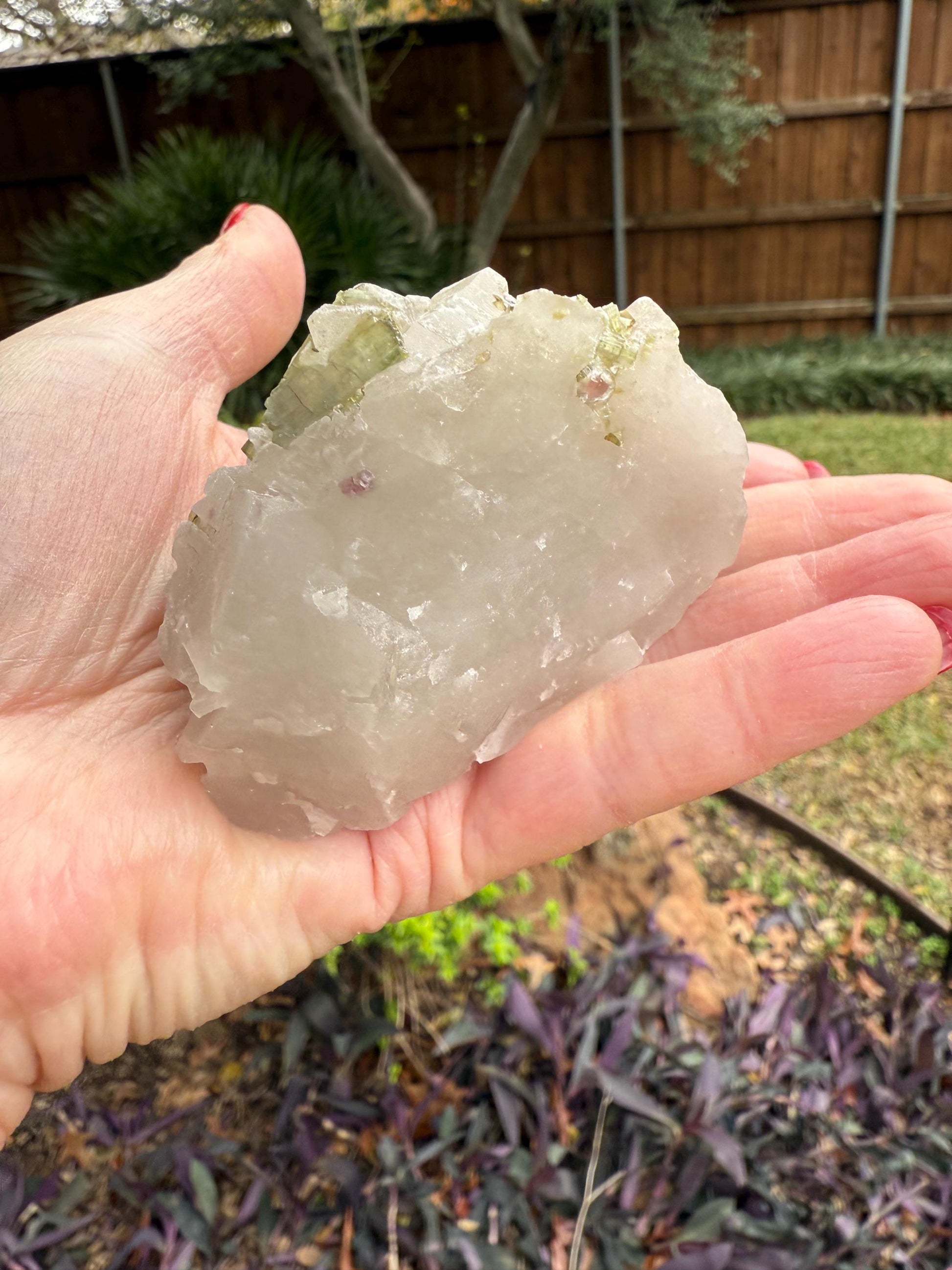 Large Green Tourmaline in Quartz with inner rod, stunning raw altar piece 7 oz, high vibration crystals, 3”