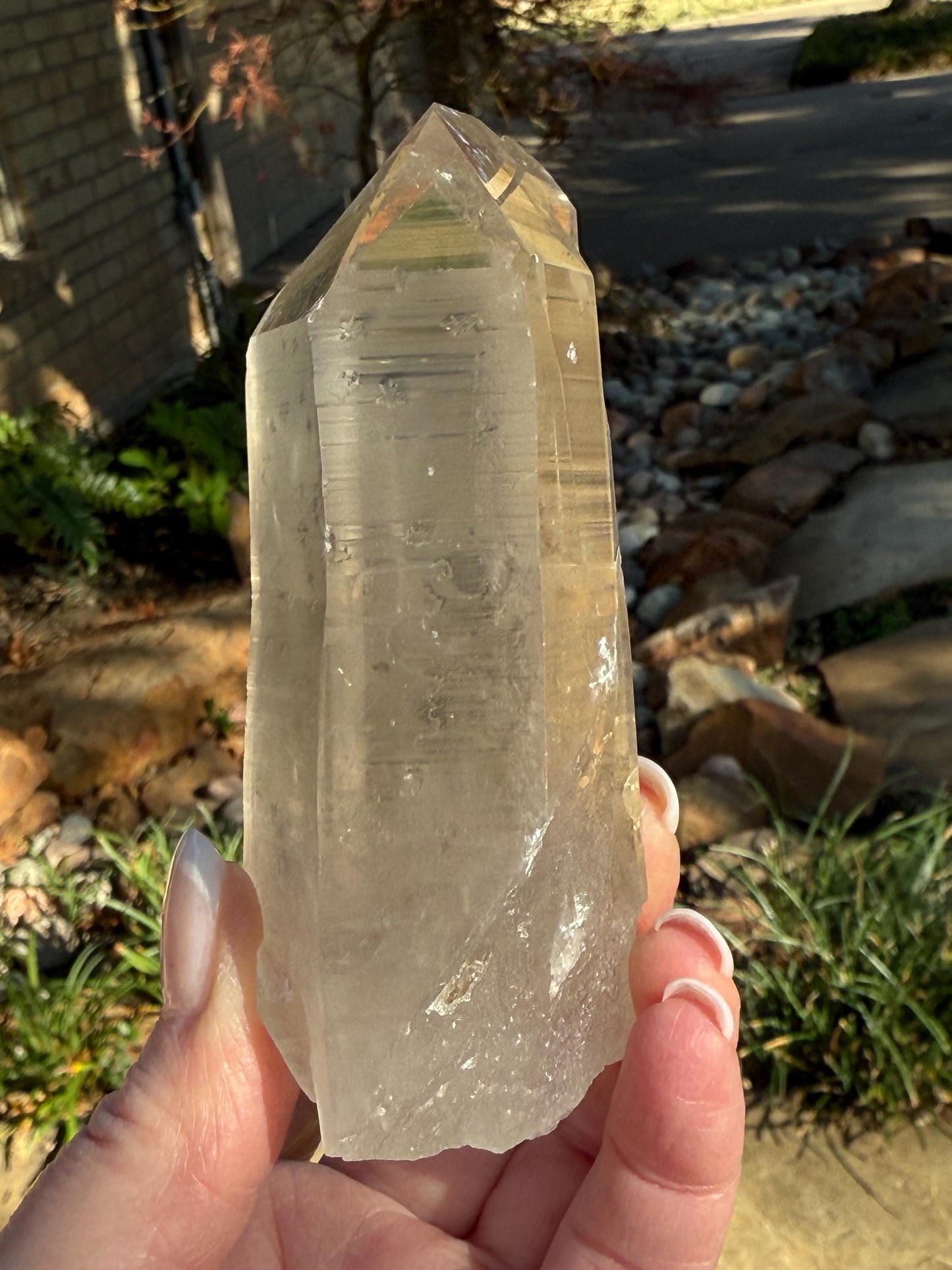 Rare Record Keeper Gold Twin Lemurian, new, high quality, 4”, crystal healing, gift