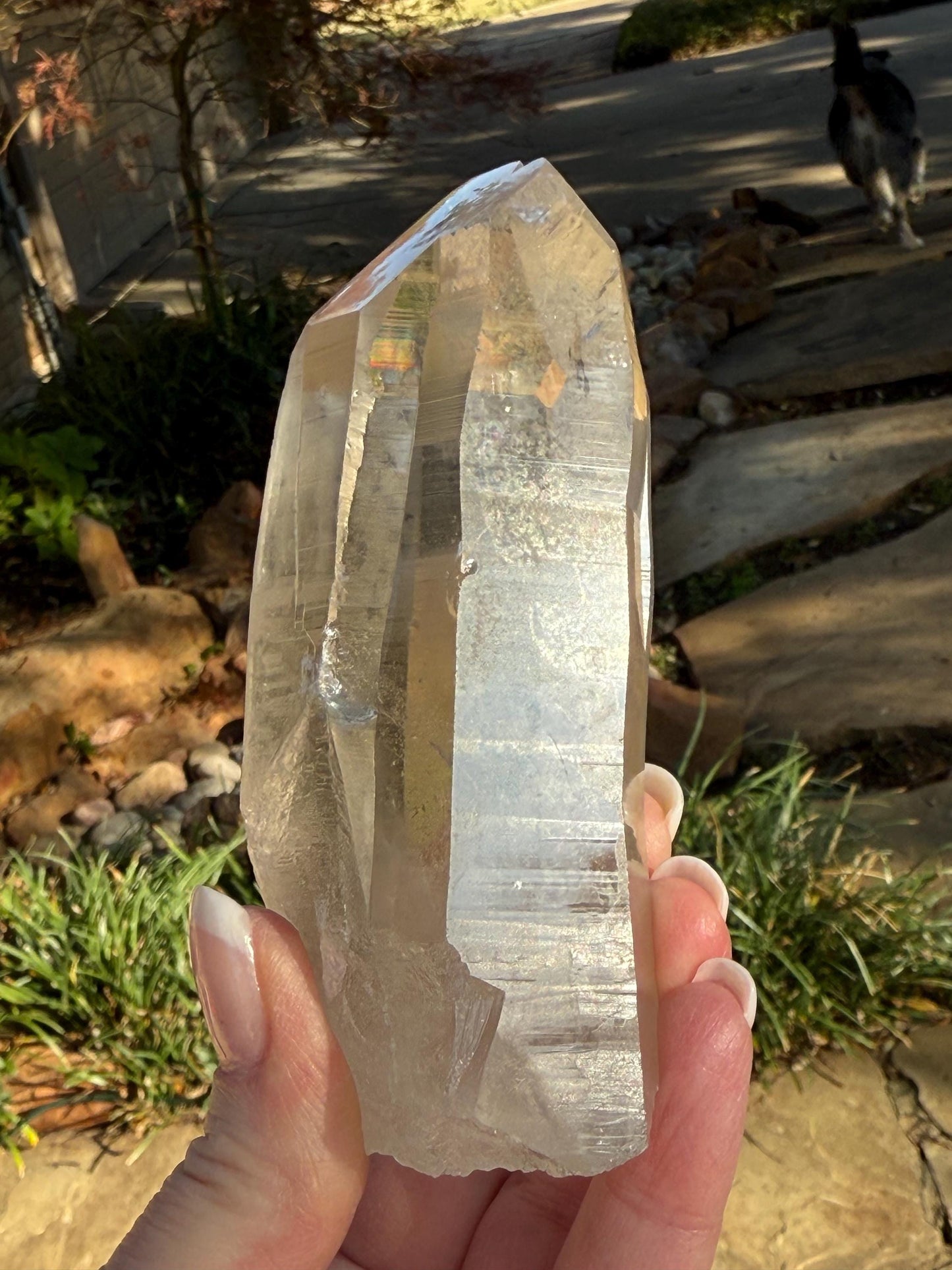 Rare Record Keeper Gold Twin Lemurian, new, high quality, 4”, crystal healing, gift