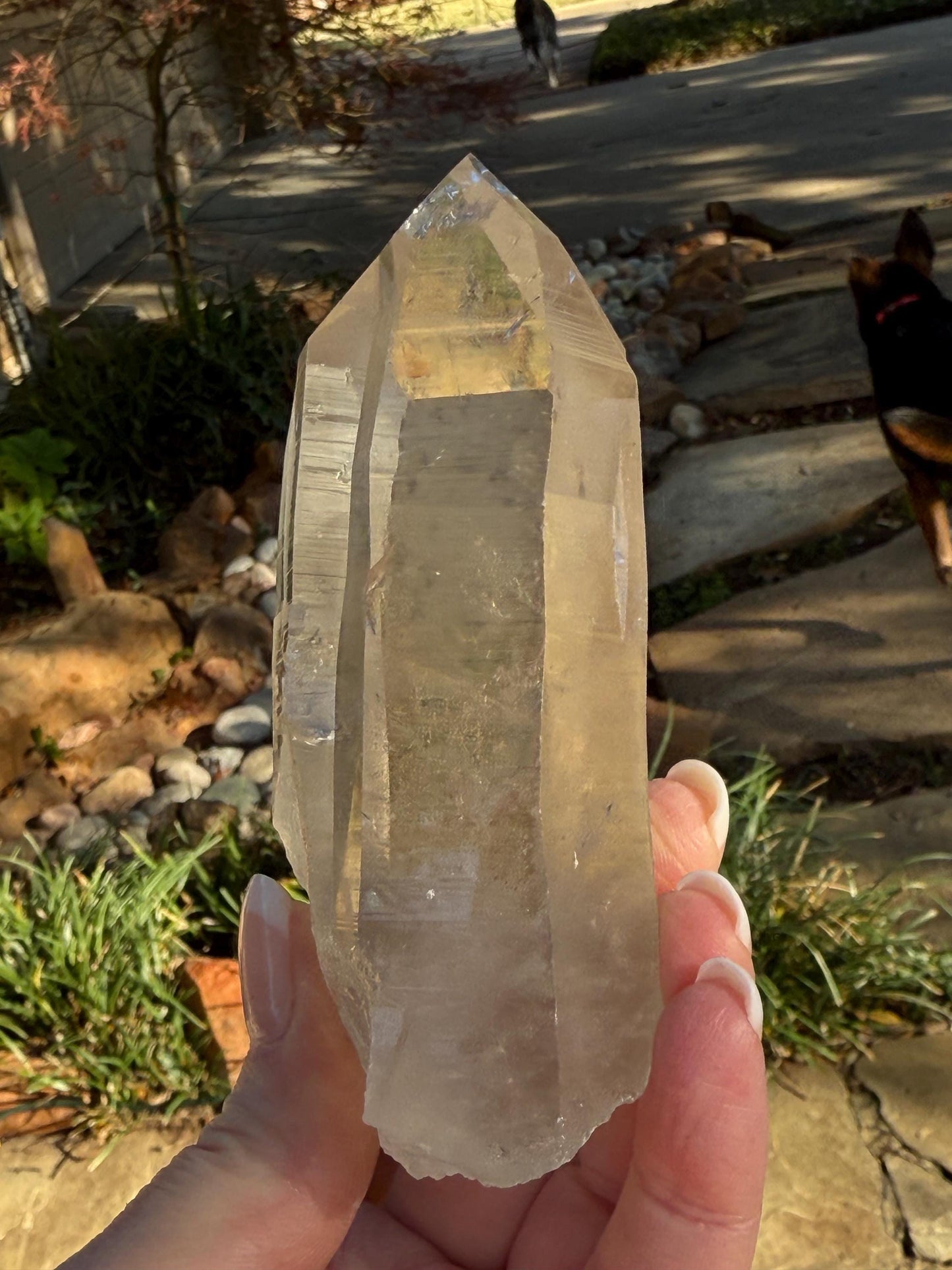 Rare Record Keeper Gold Twin Lemurian, new, high quality, 4”, crystal healing, gift