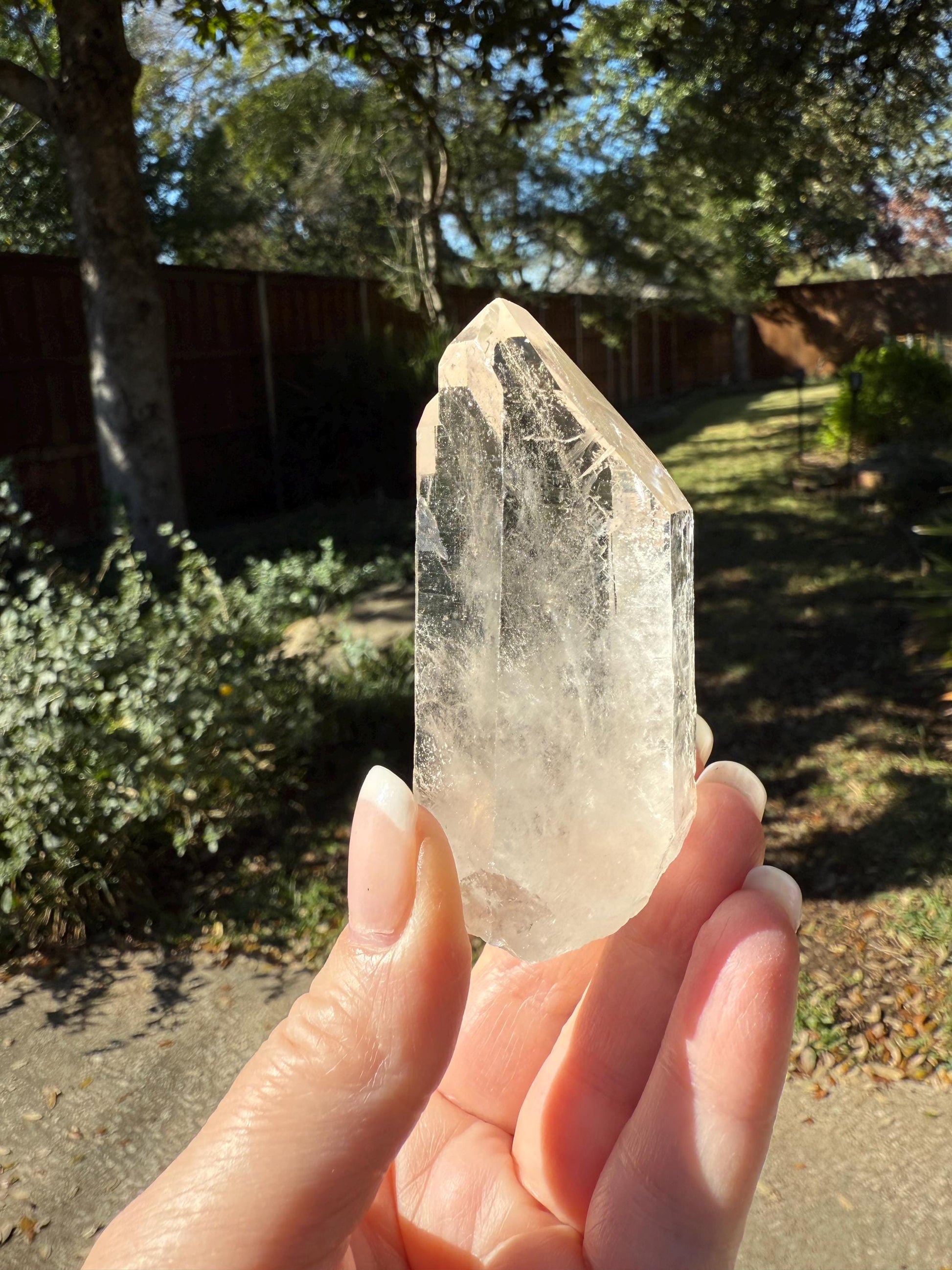 Banff-Blessed Starbrary Twin Lemurian Wand, Rare, New, gift, 3”, crystal healing, high vibration crystals