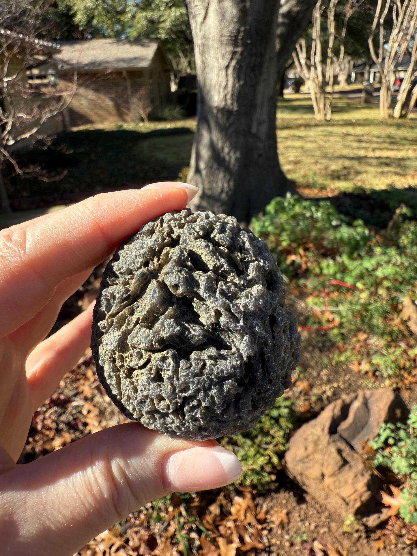 Large Agni Manitite Tektite Palm Stone, Tumbled, 2.25”, new in shop and hand-collected, high vibration crystals