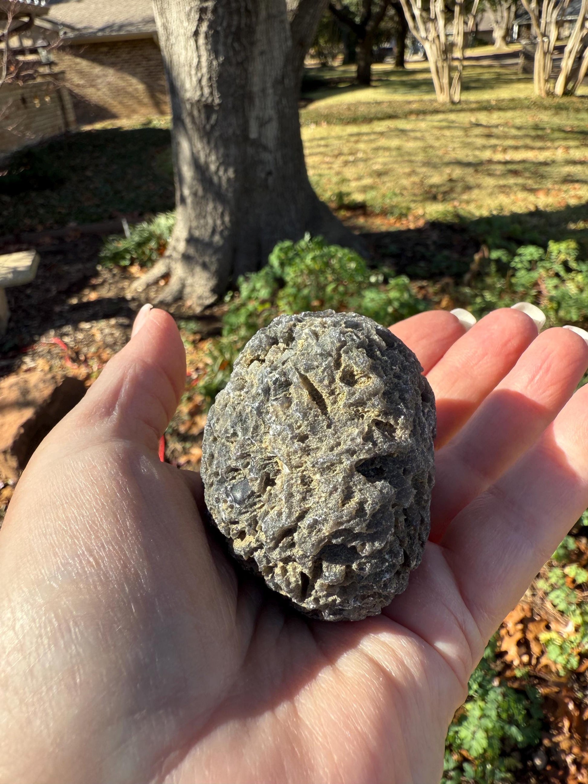 Large Agni Manitite Tektite Palm Stone, Tumbled, 2.25”, new in shop and hand-collected, high vibration crystals