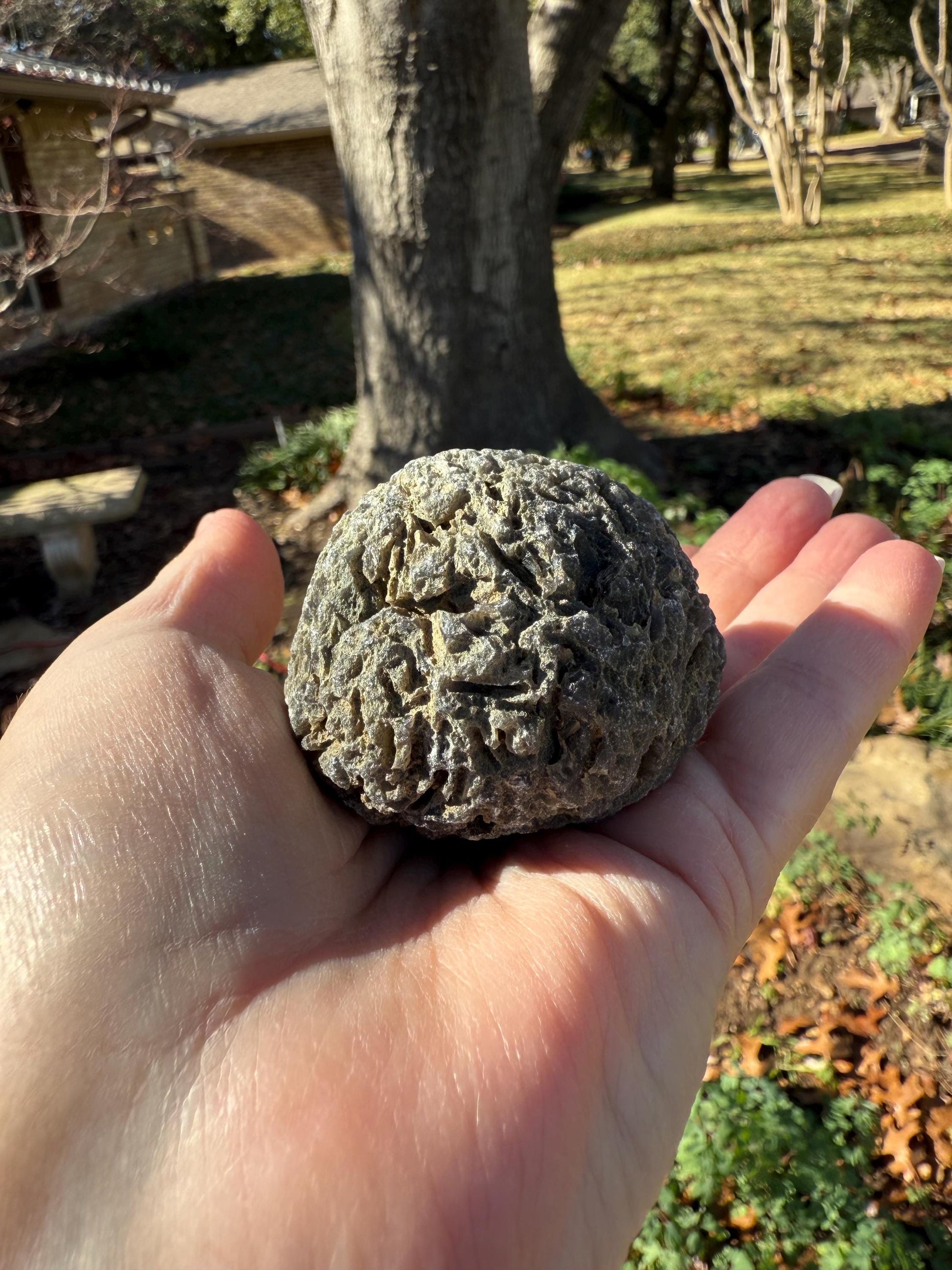 Large Agni Manitite Tektite Palm Stone, Tumbled, 2.25”, new in shop and hand-collected, high vibration crystals