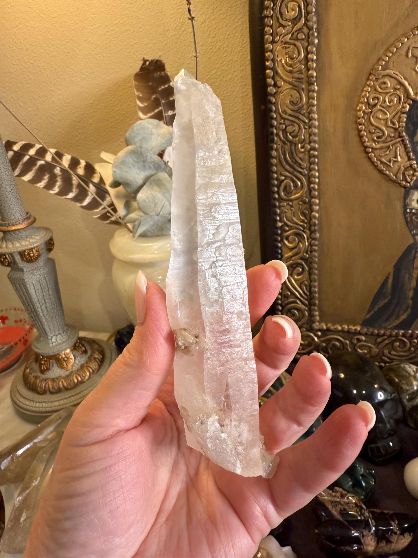 Laser Sugared Lemurian Wand 6”, crown bottom, New, gift, altar, high vibration crystals