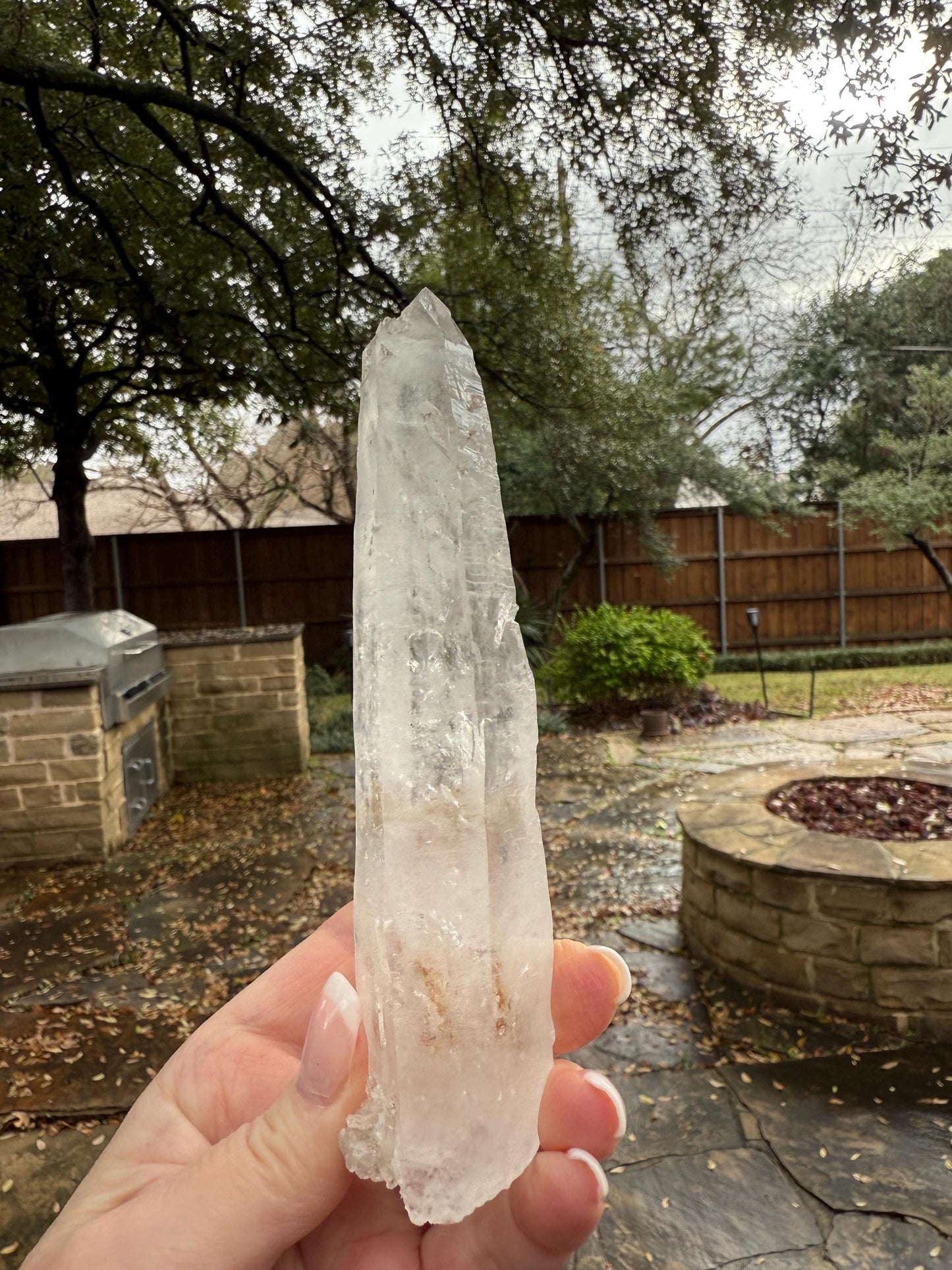 Laser Sugared Lemurian Wand 6”, crown bottom, New, gift, altar, high vibration crystals