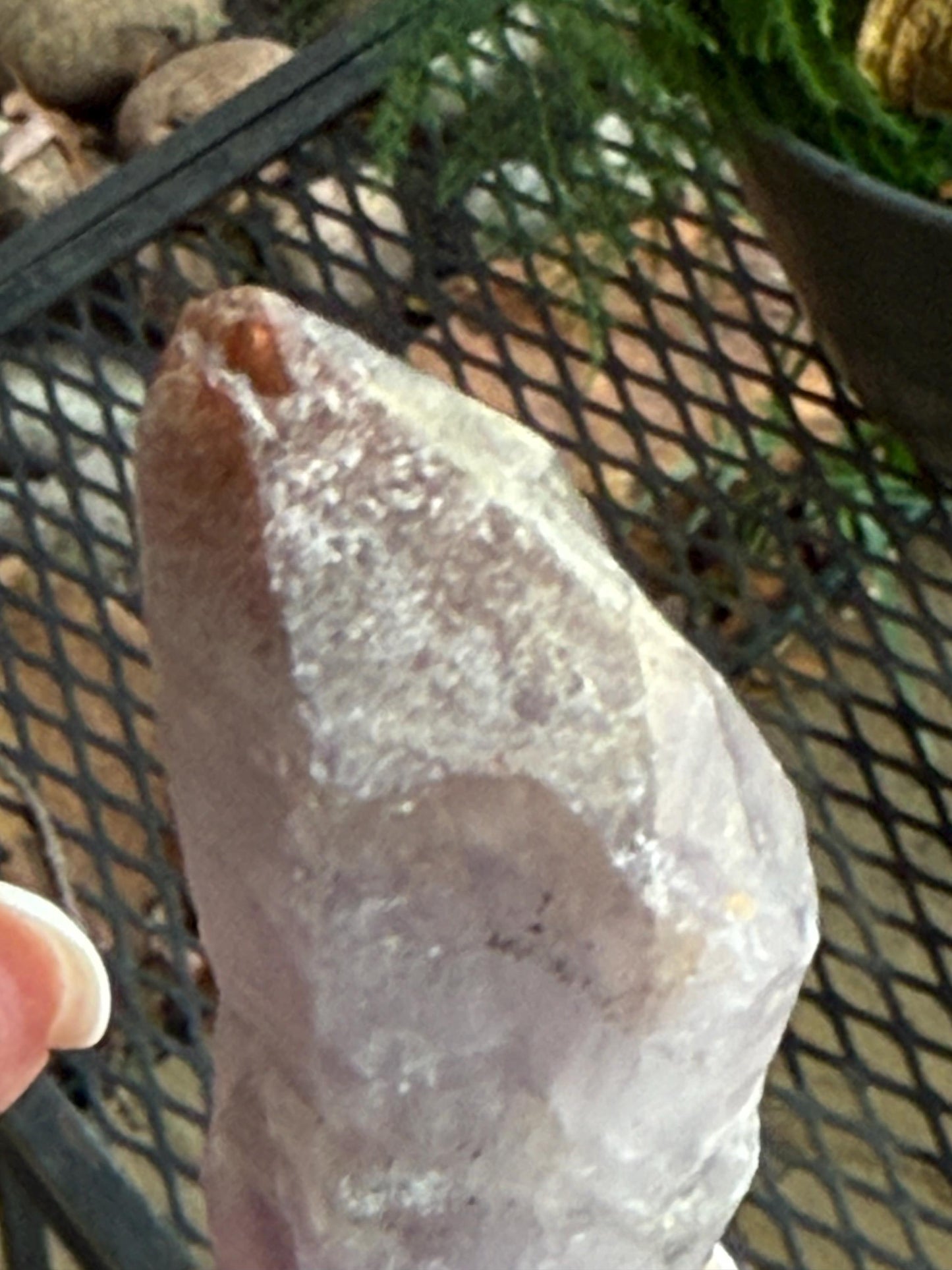 Beautiful Auralite-23 palm, raw and authentic, 2.5”, new, crystal healing