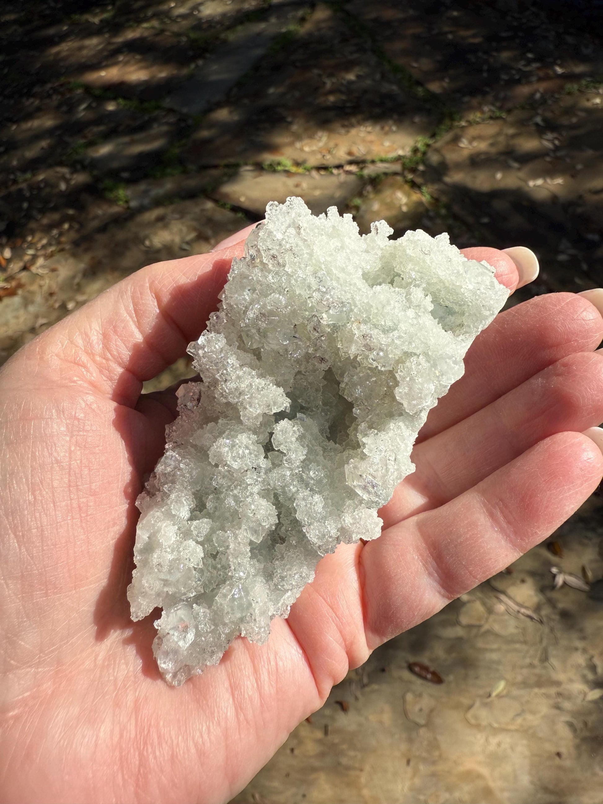 Sparkly Apophyllite Fairy Bed pure diamond crust, new, high vibration crystals, gifts, altar, 3.5”