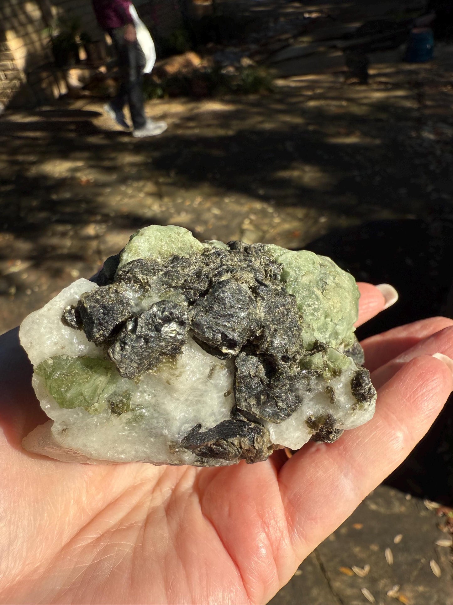 Premium Diopside Palm Specimen, 3.5”, rare, AAA quality, healing crystals