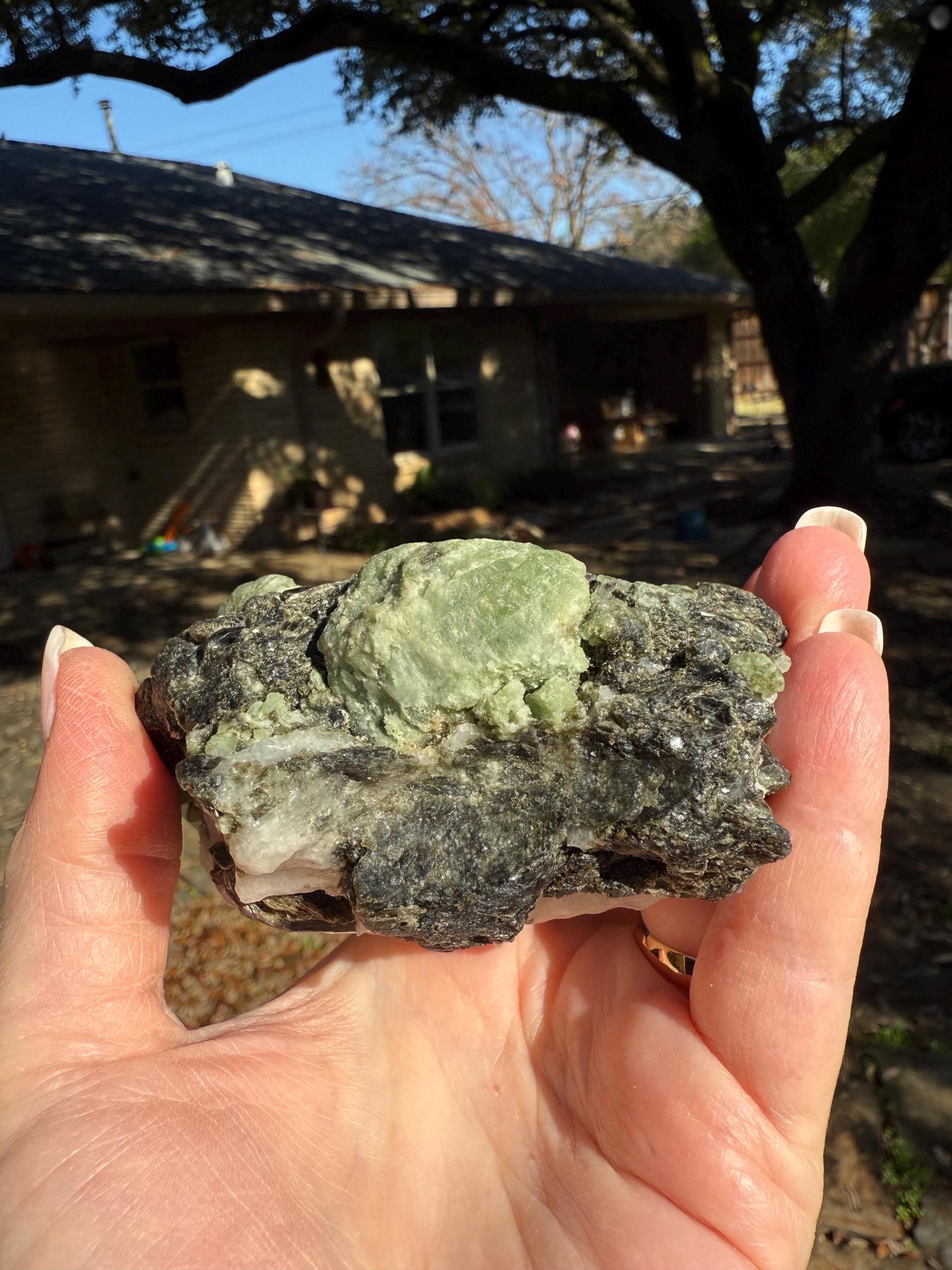 Premium Diopside Palm Specimen, 3.5”, rare, AAA quality, healing crystals