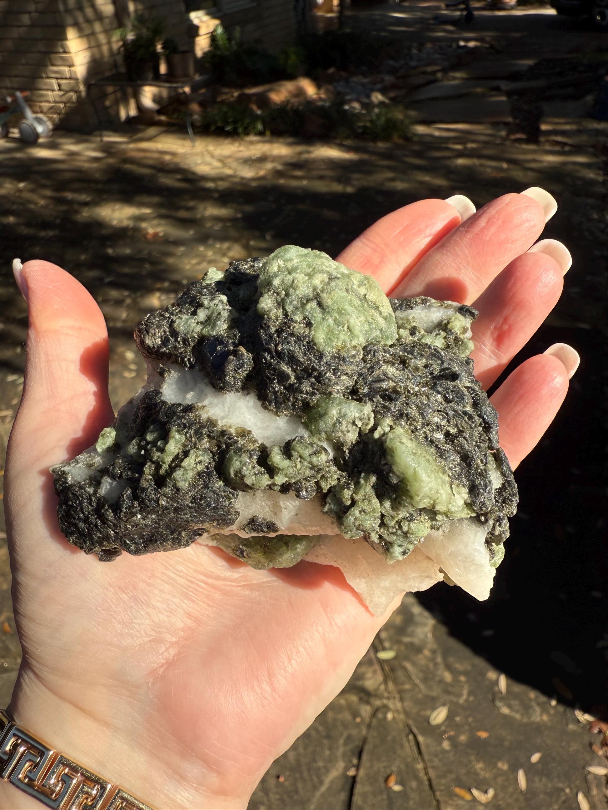 Premium Diopside Palm Specimen, 3.5”, rare, AAA quality, healing crystals