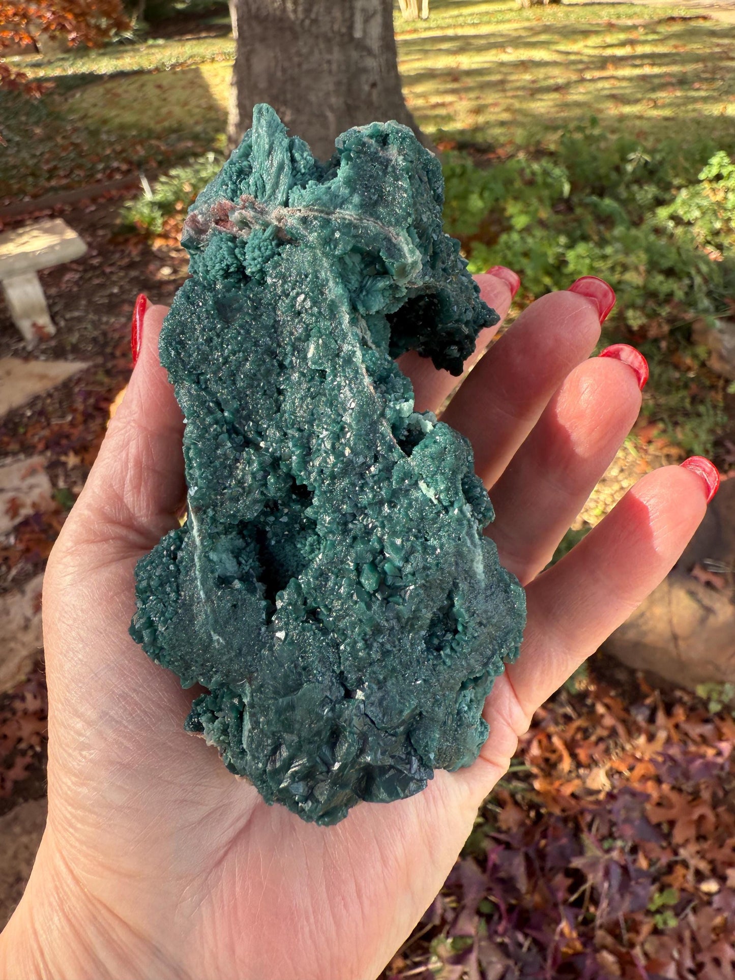 Sparkly Marshy Apophyllite Fairy Bed, celadonite, new, 4.5”, high vibration crystals, gifts, altar