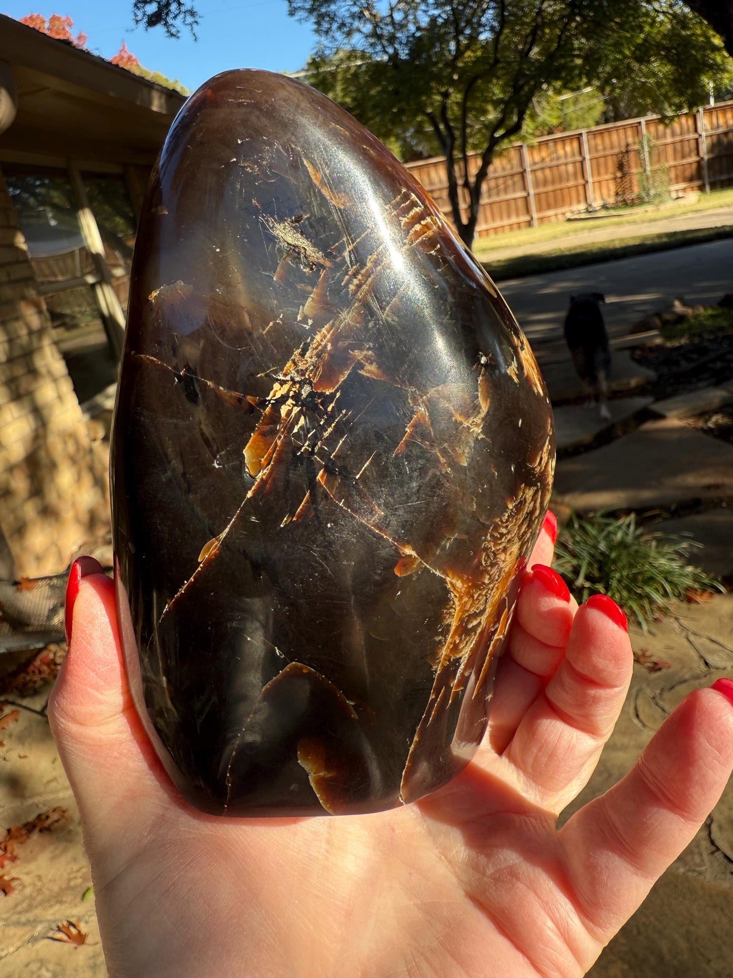 Large amber polished chunk, New, altar, gift, high vibration crystals, natural, crystal healing, 15 ounces, 5.75”, statement piece